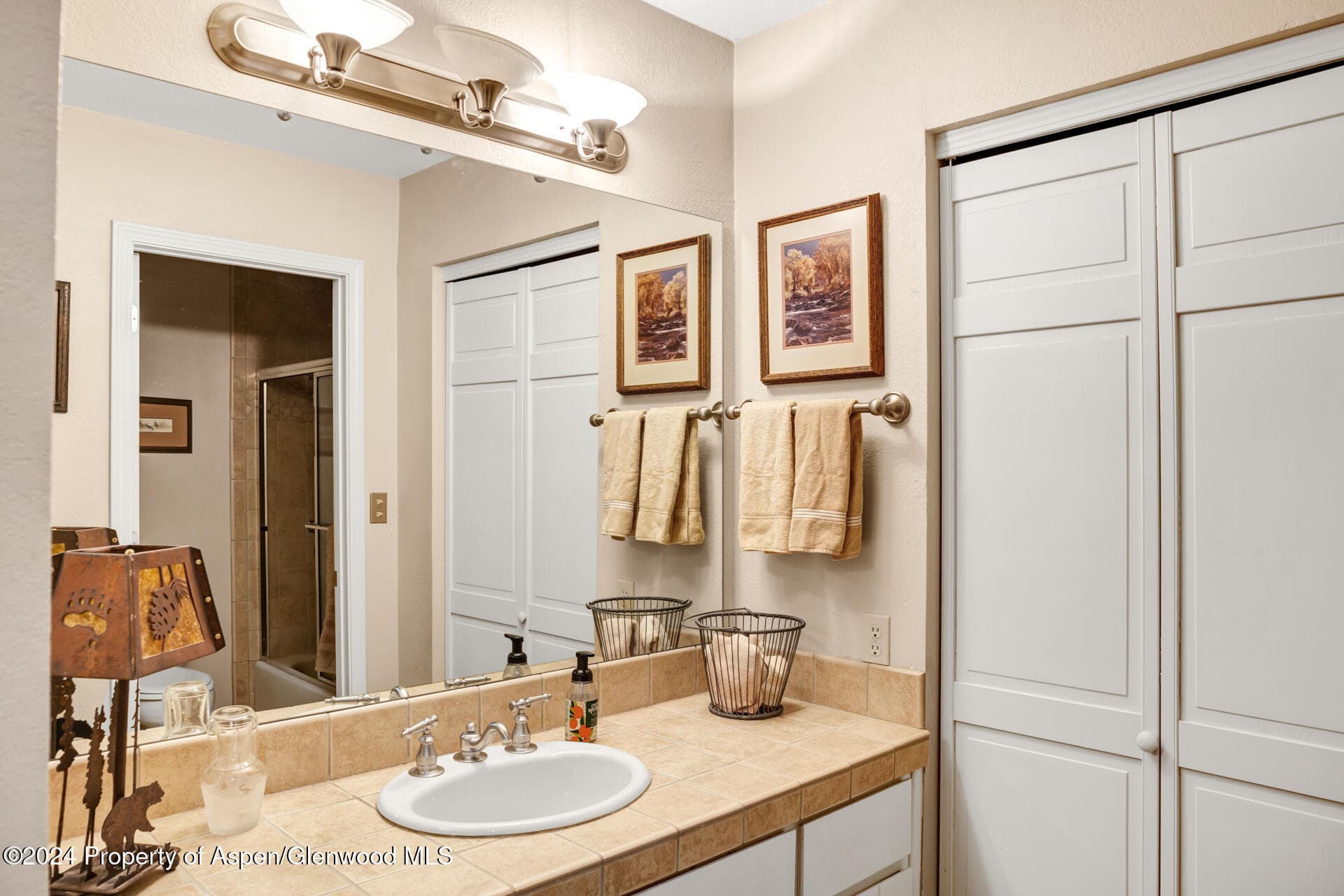 14913 Hwy 82 109, Carbondale, CO 81623 - Photo 15