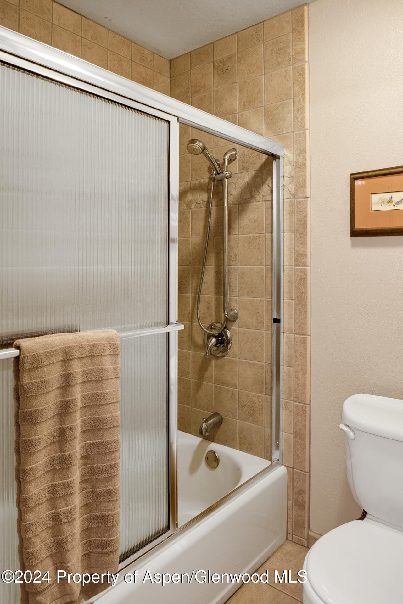 14913 Hwy 82 109, Carbondale, CO 81623 - Photo 16
