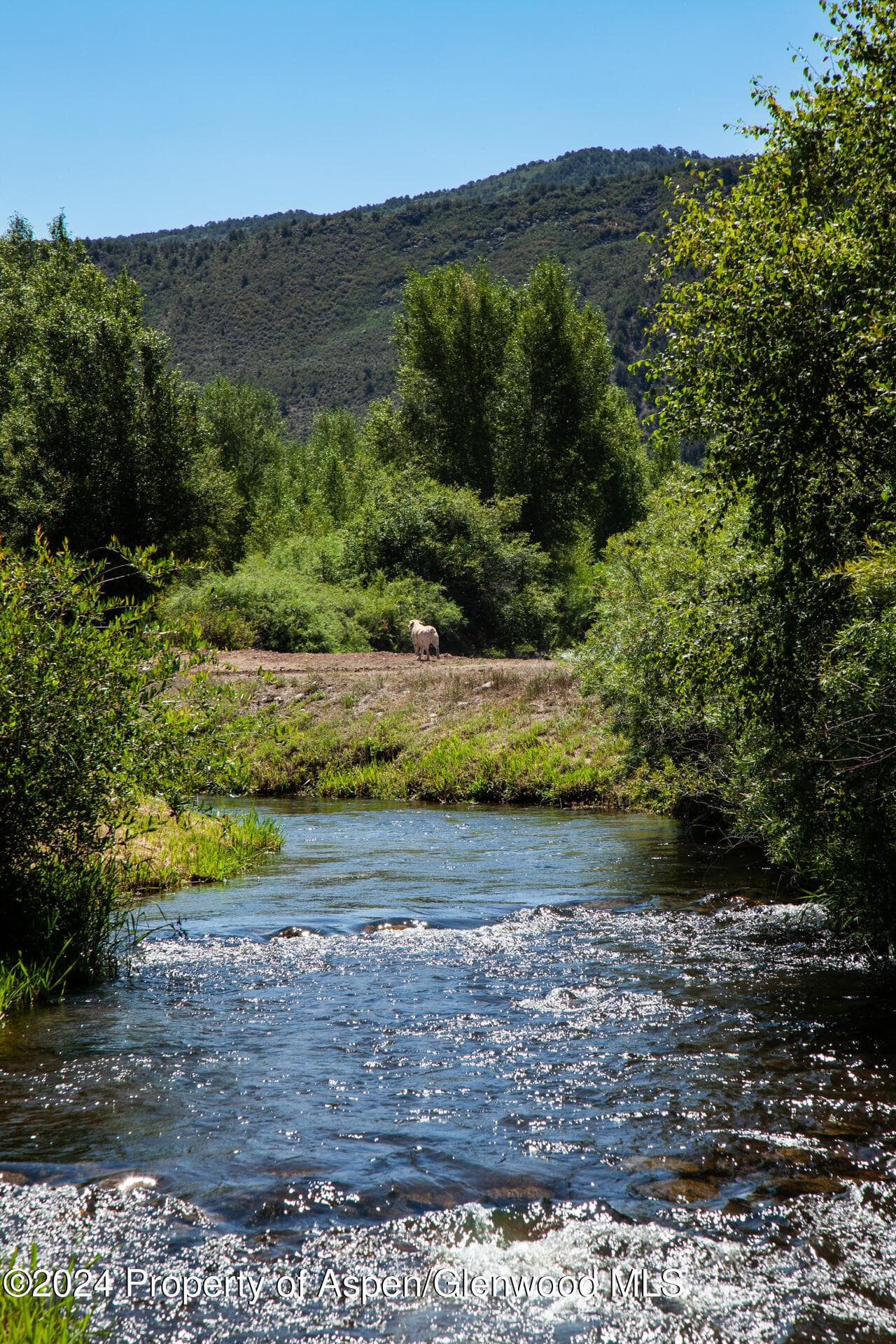 14913 Hwy 82 109, Carbondale, CO 81623 - Photo 30