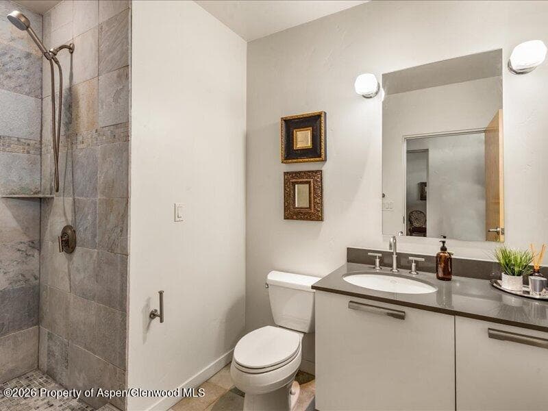 231 Robinson Street 318, Basalt, CO 81621 - Photo 15