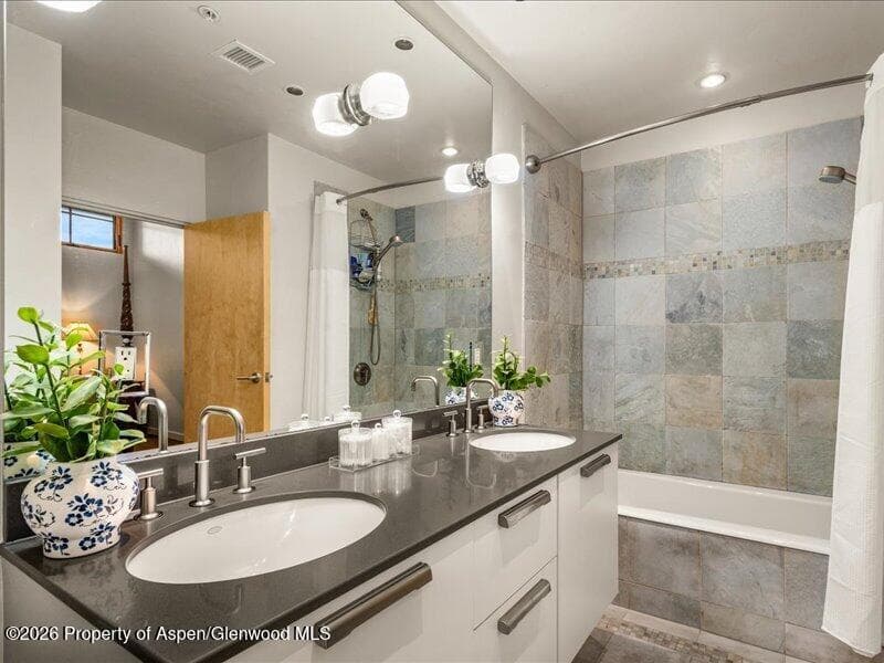231 Robinson Street 318, Basalt, CO 81621 - Photo 13