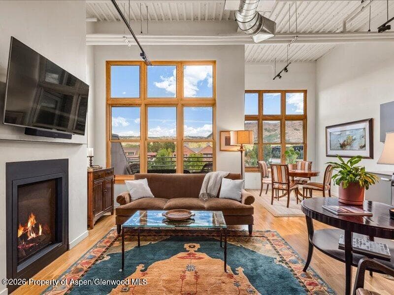 231 Robinson Street 318, Basalt, CO 81621