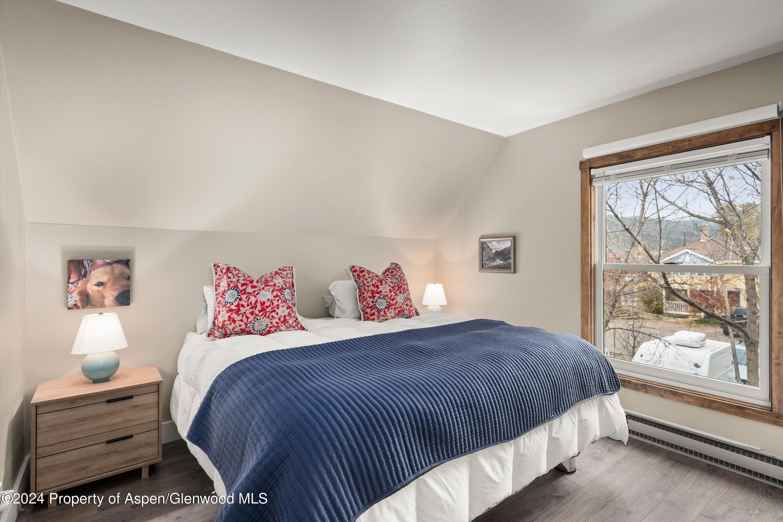 766 Lincoln Avenue, Carbondale, CO 81623 - Photo 5