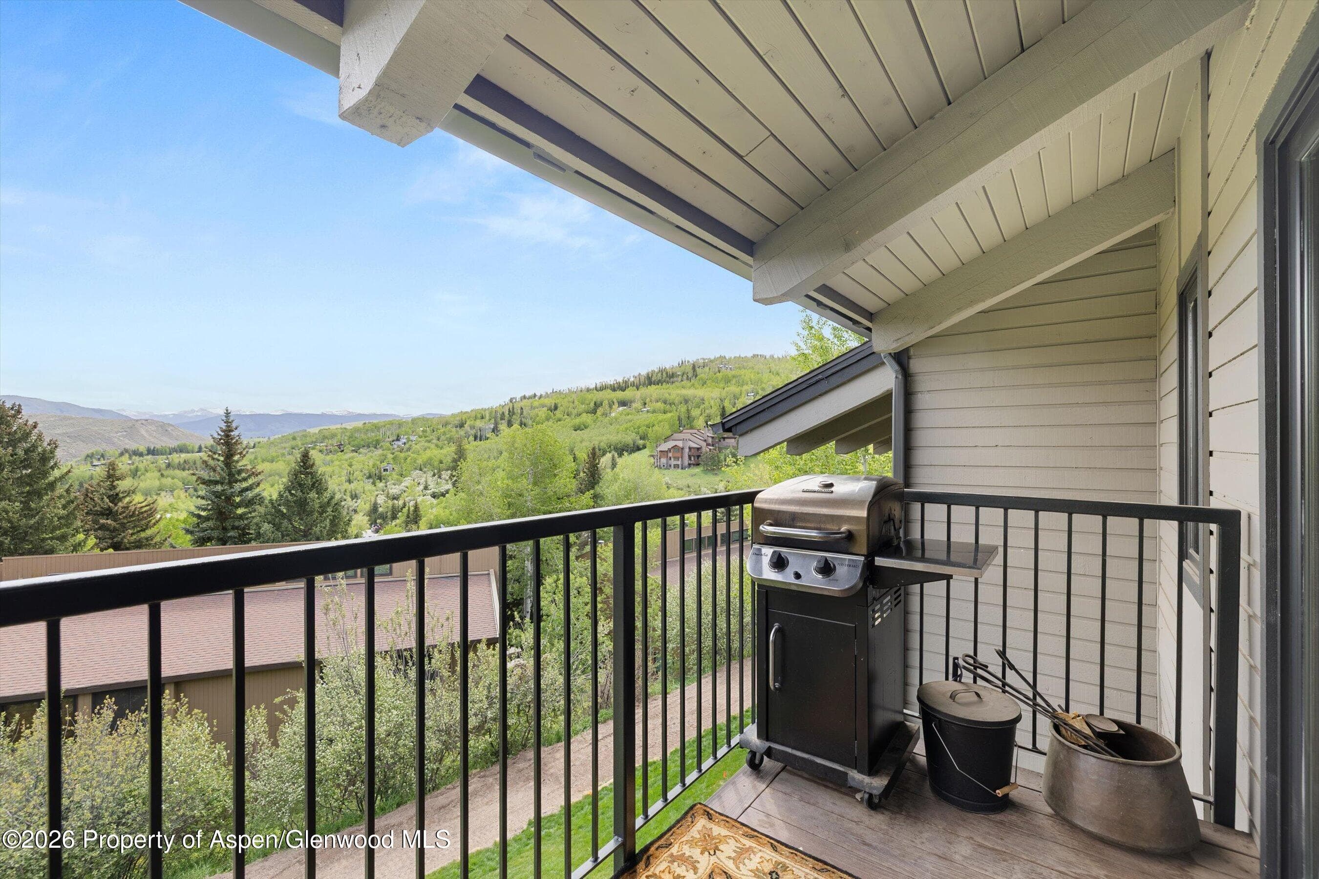 55 Upper Woodbridge Road I-5, Snowmass Village, CO 81615 - Photo 10