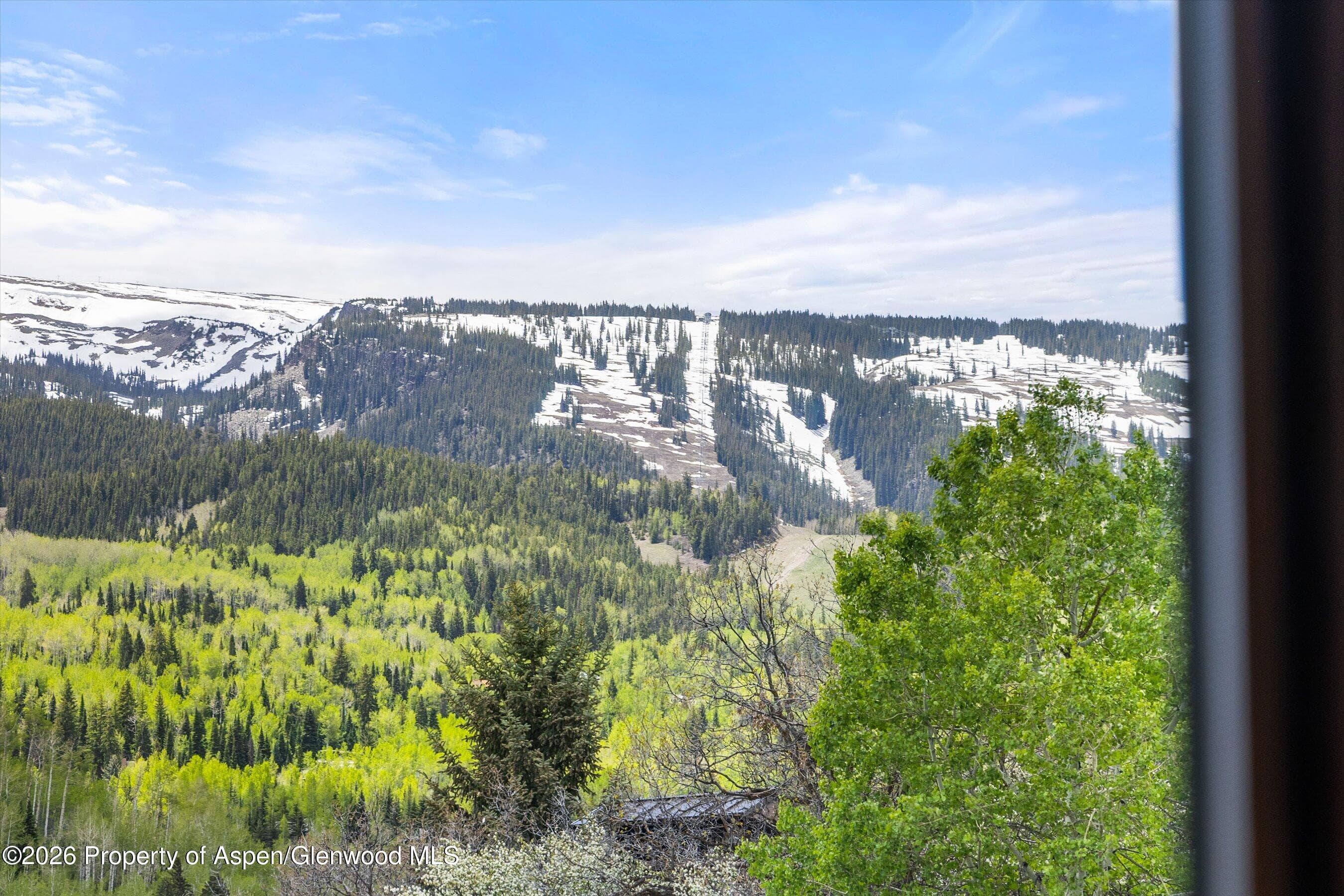 55 Upper Woodbridge Road I-5, Snowmass Village, CO 81615 - Photo 12