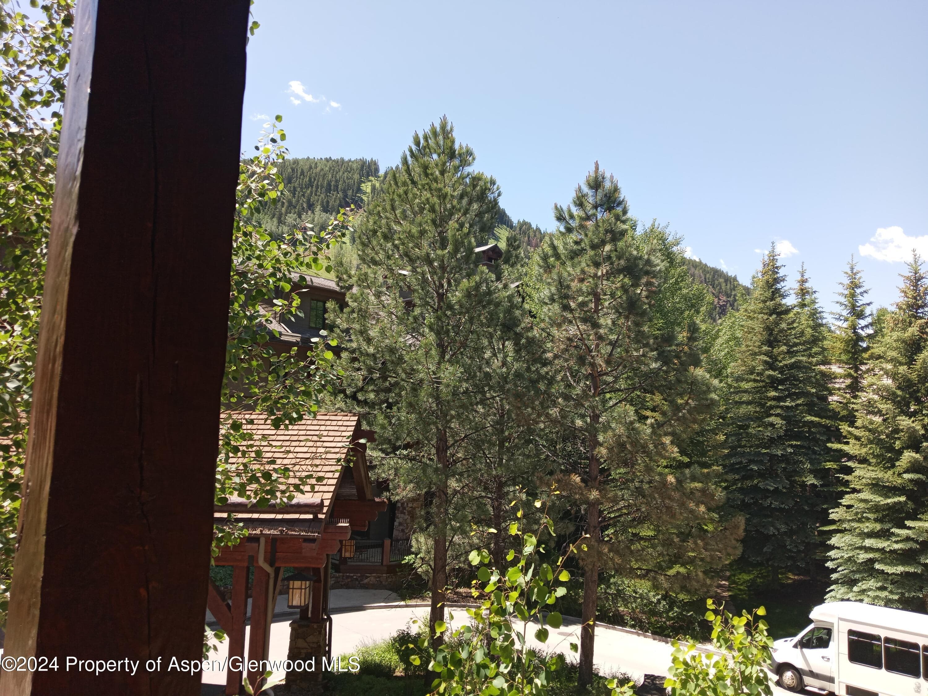 0039 Boomerang Road Unit 8214 Summer Interest #9, Aspen, CO 81611 - Photo 33