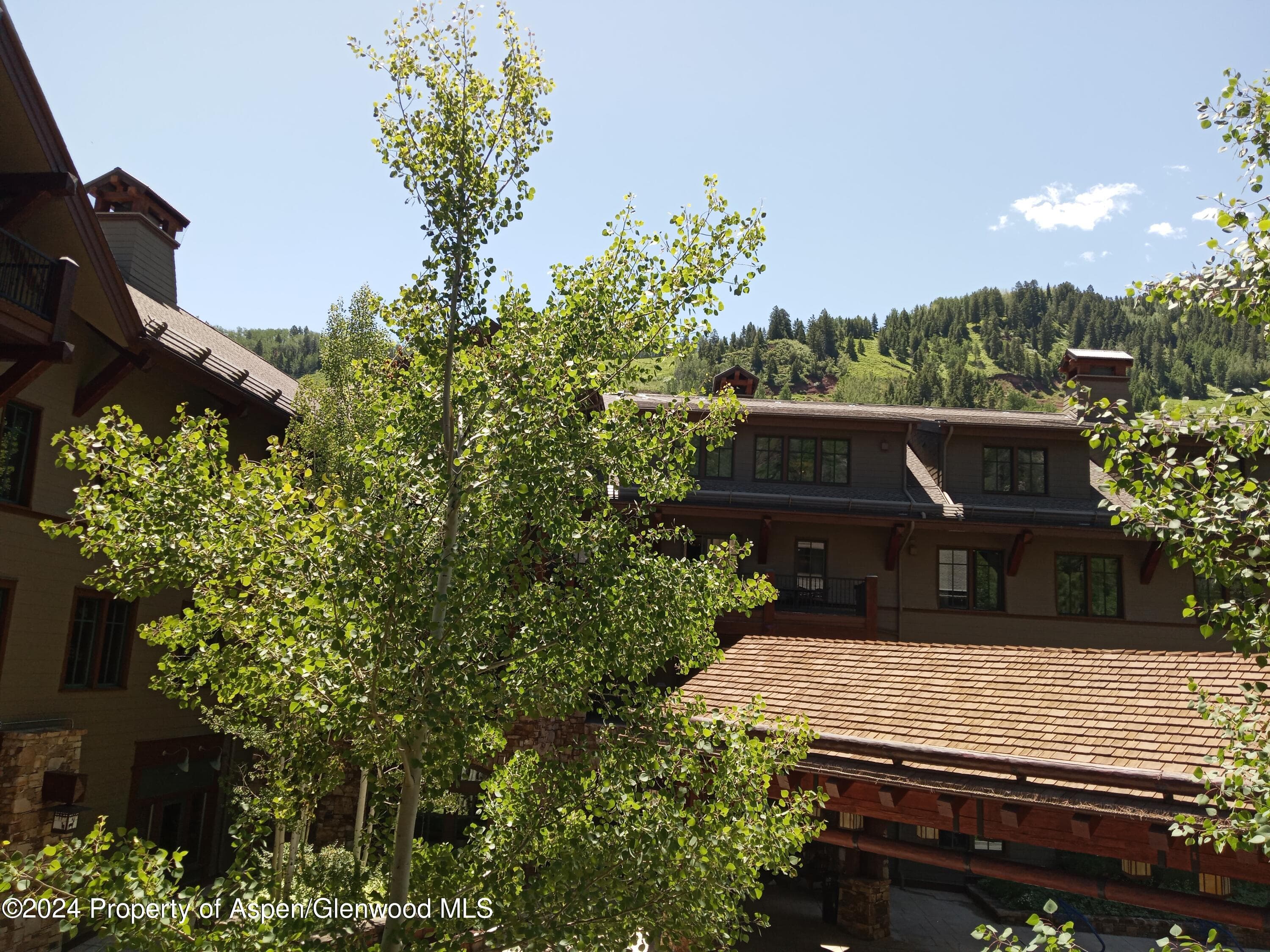0039 Boomerang Road Unit 8214 Summer Interest #9, Aspen, CO 81611 - Photo 34