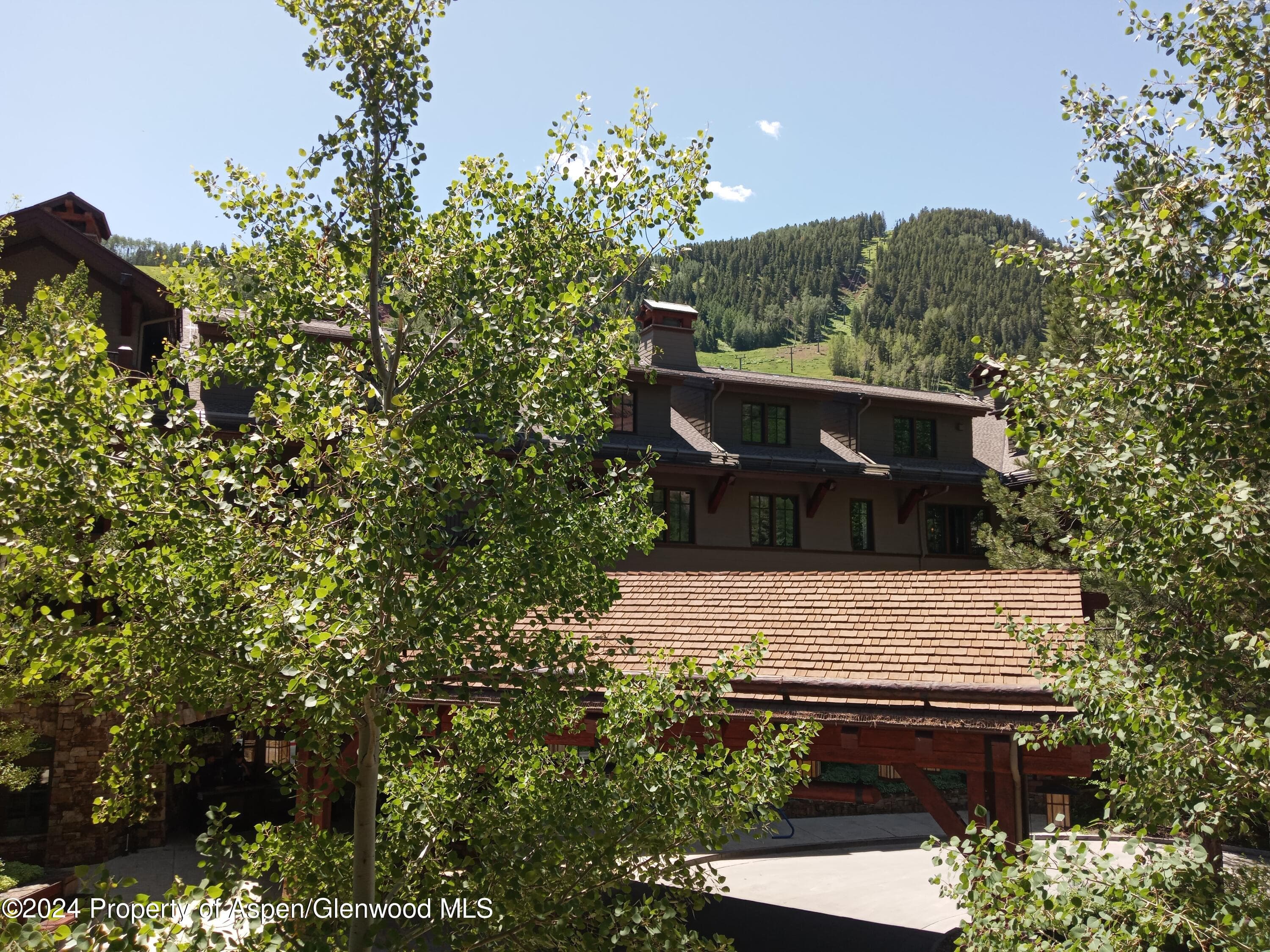 0039 Boomerang Road Unit 8214 Summer Interest #9, Aspen, CO 81611 - Photo 35