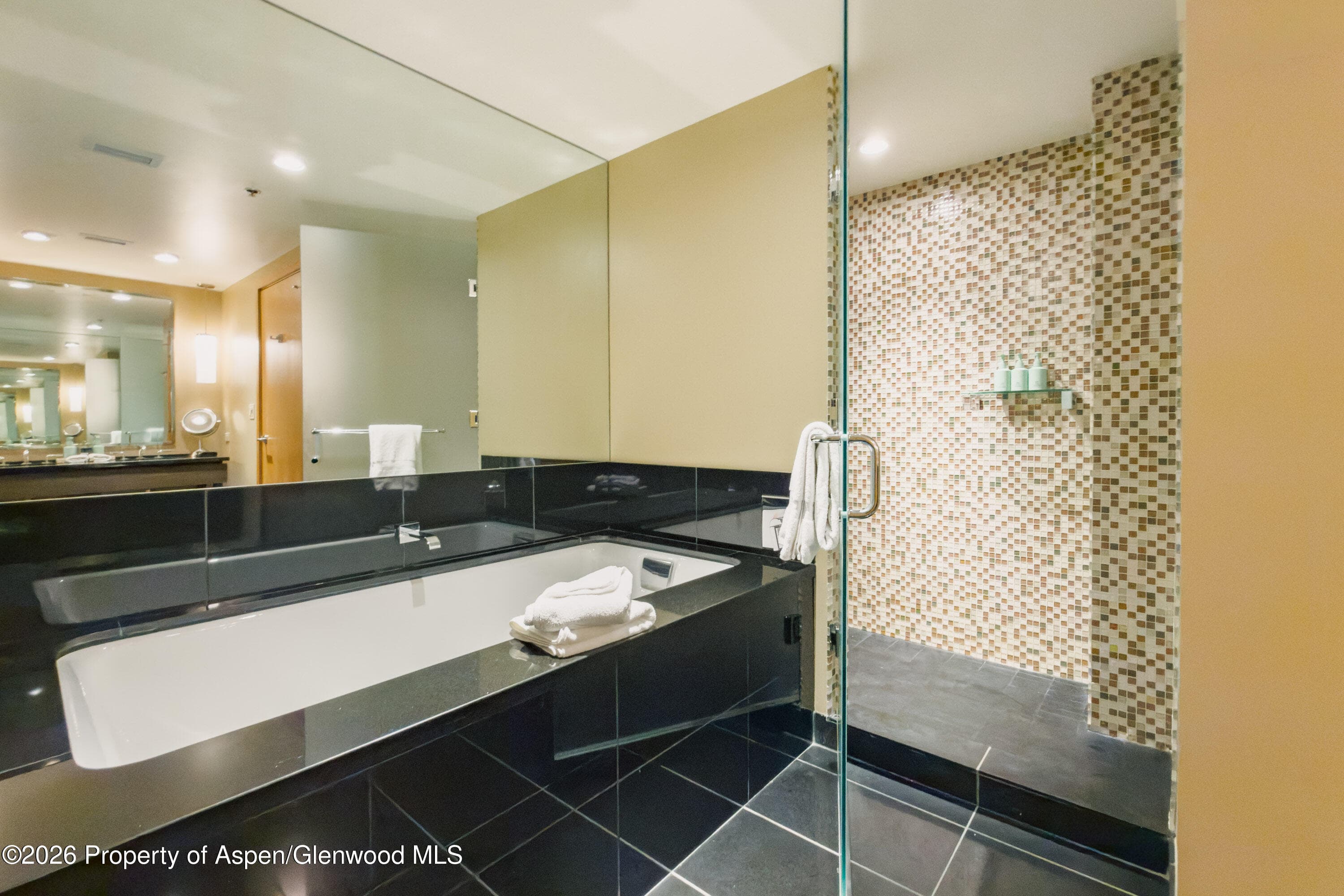 130 Wood Road 632, Snowmass Village, CO 81615 - Photo 11