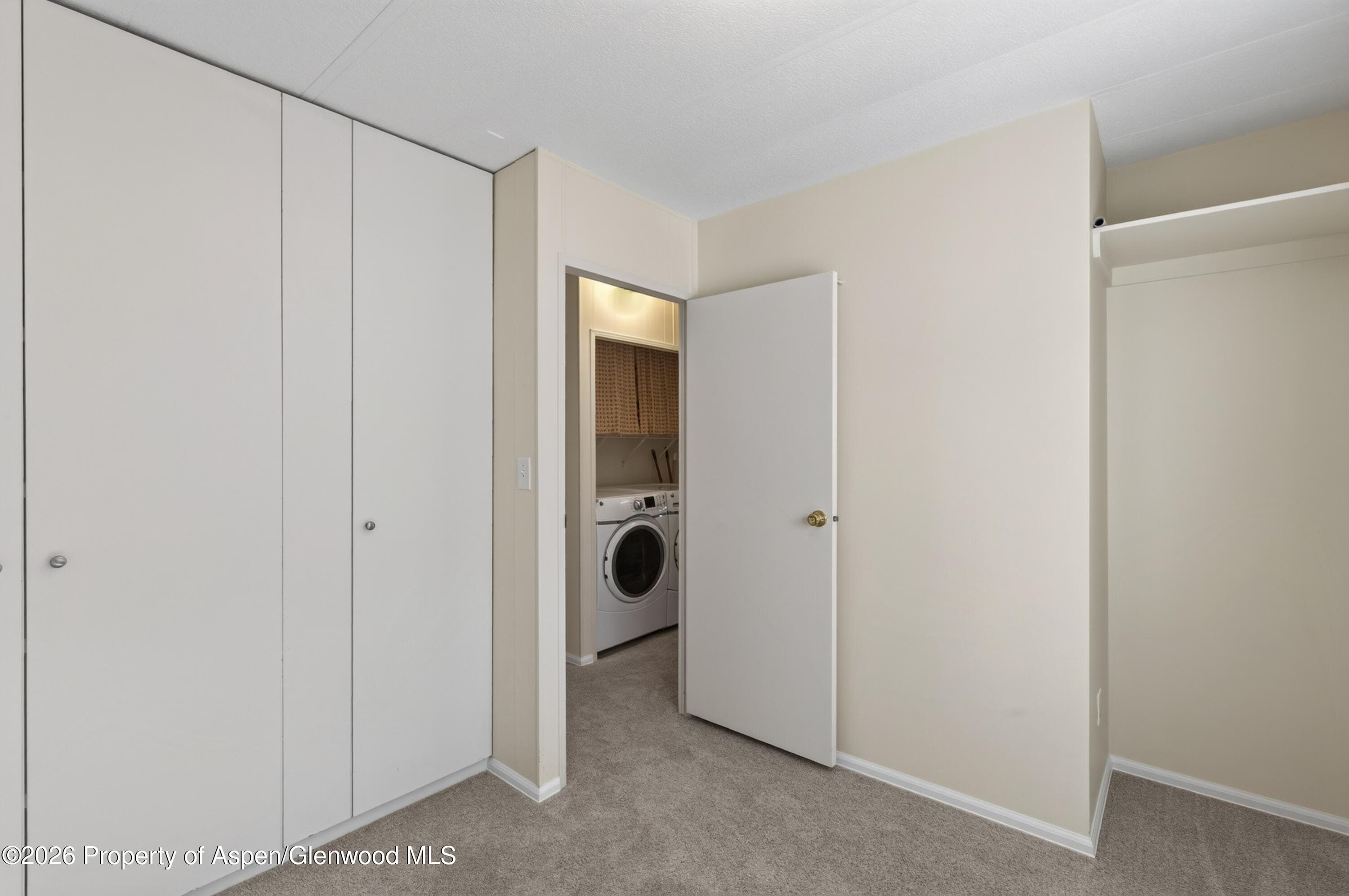 49 Grey Wolf, Aspen, CO 81611 - Photo 14