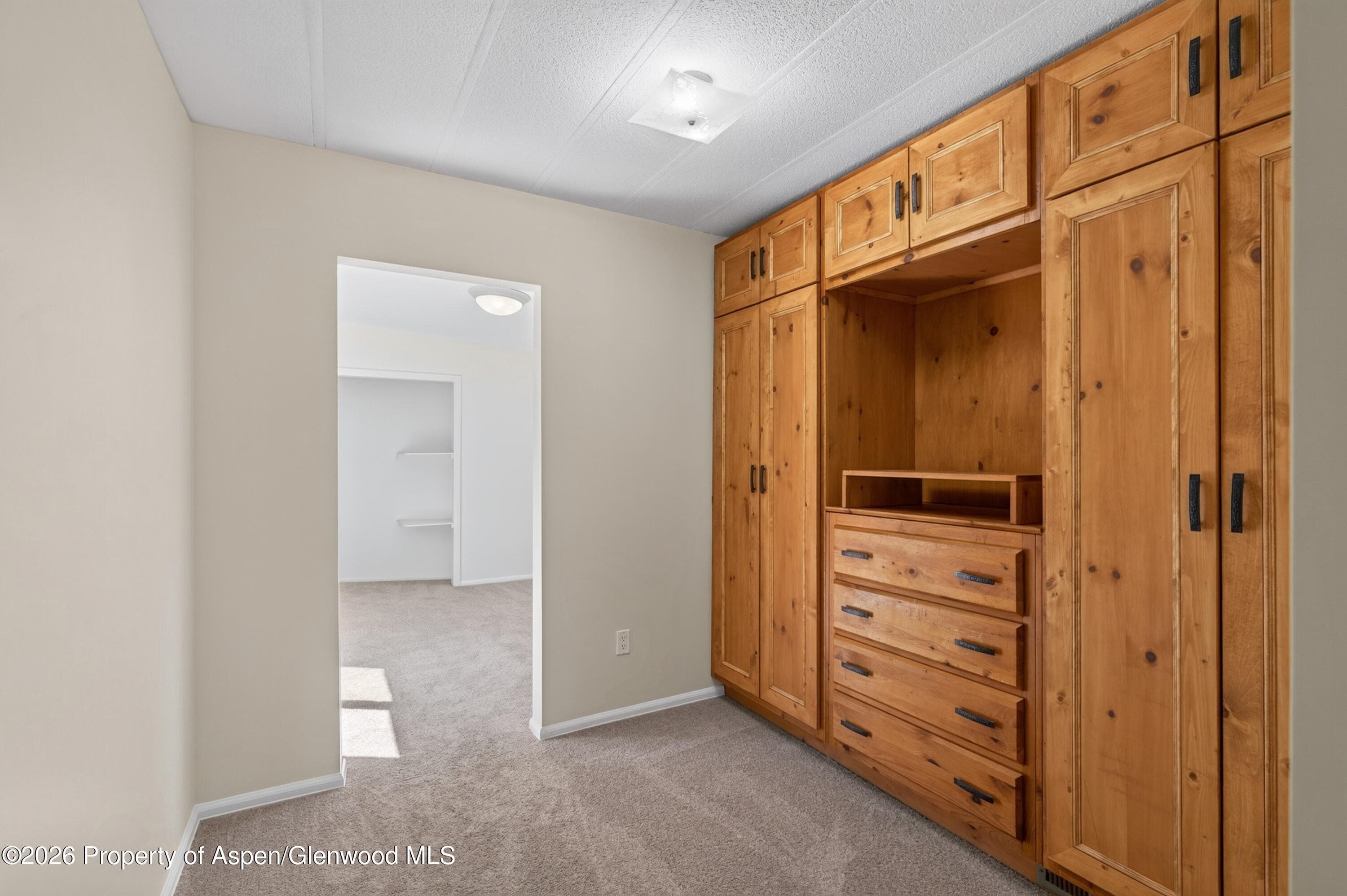49 Grey Wolf, Aspen, CO 81611 - Photo 10