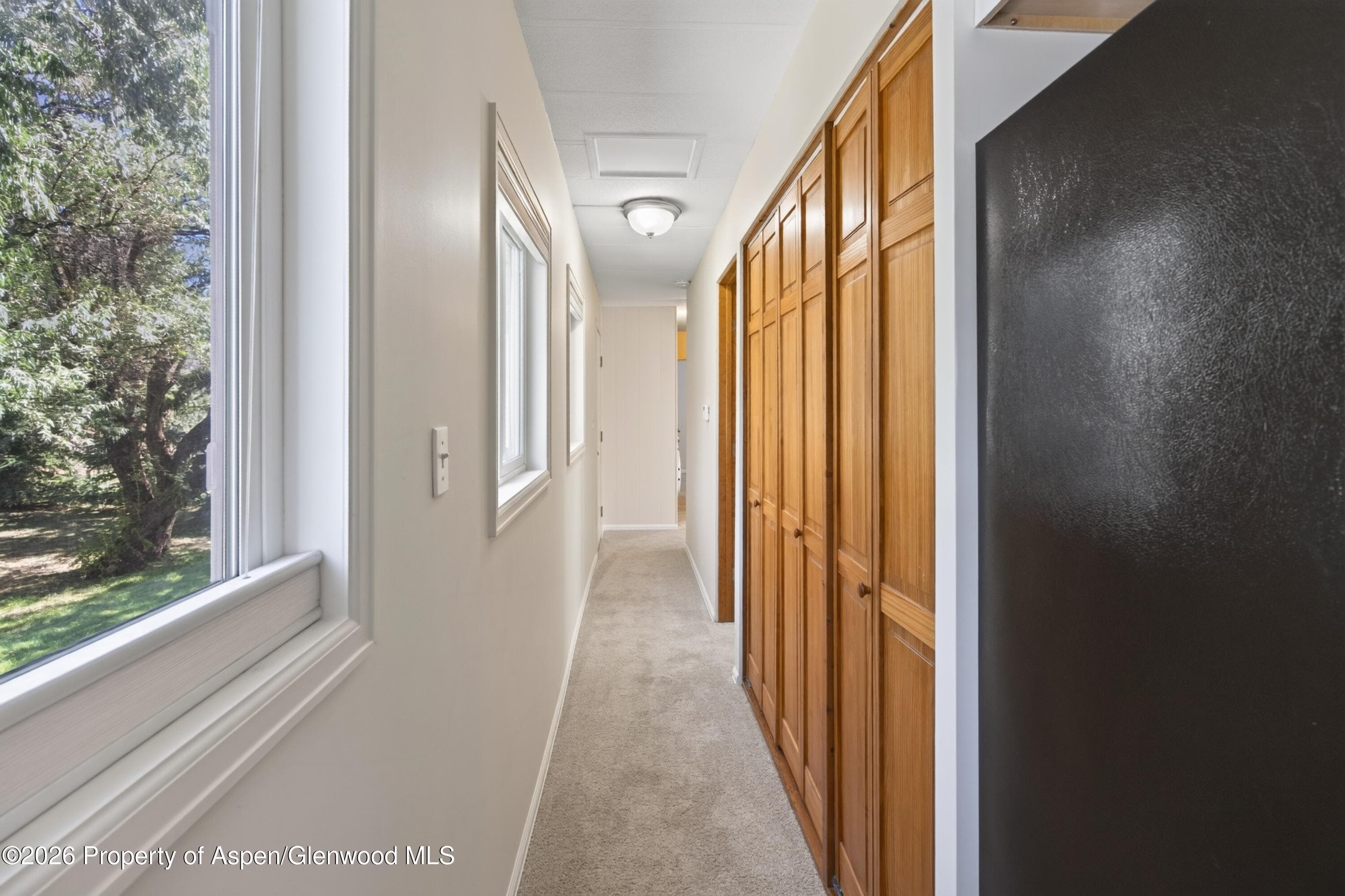 49 Grey Wolf, Aspen, CO 81611 - Photo 9