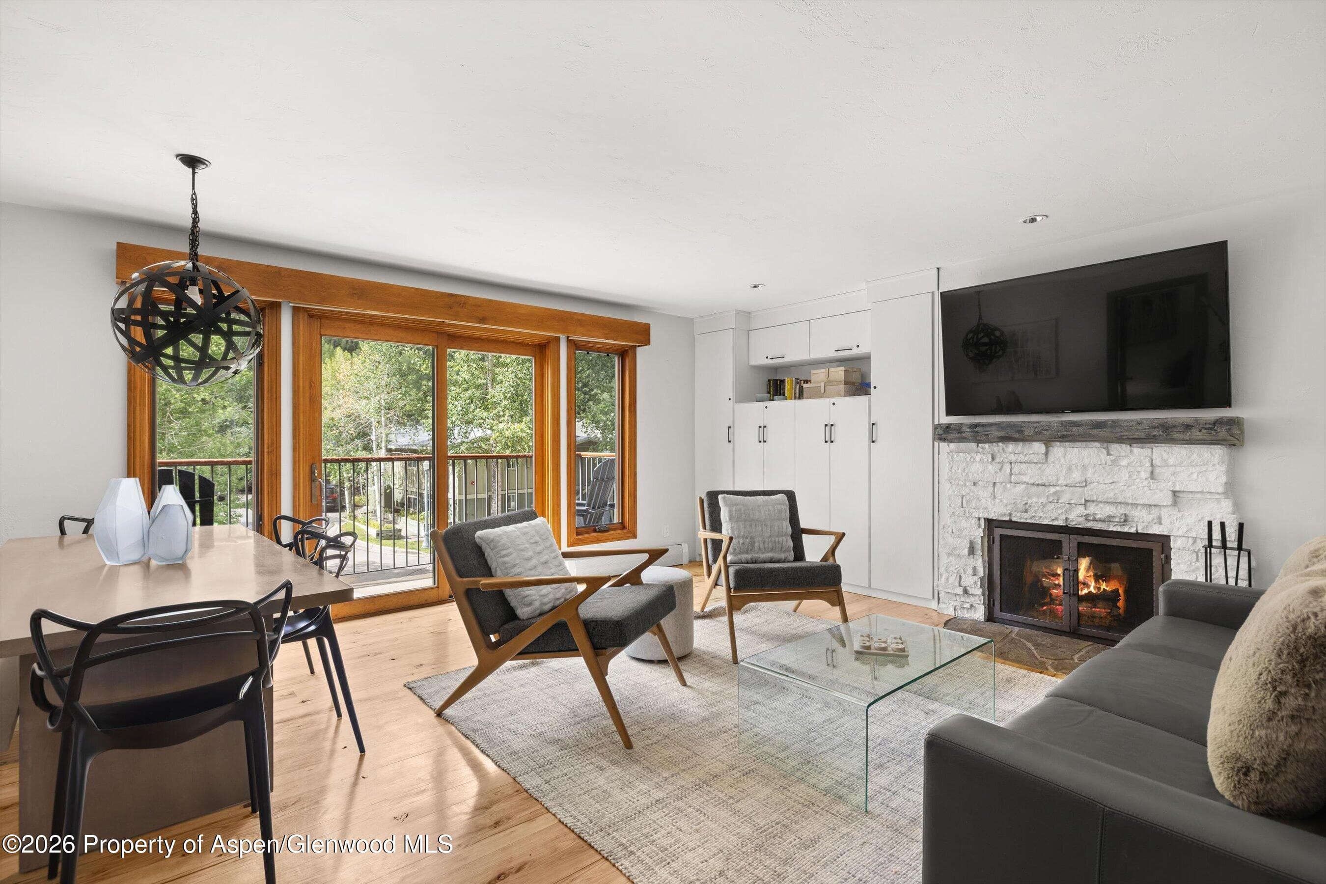 1020 E Durant Avenue 301, Aspen, CO 81611 - Photo 2
