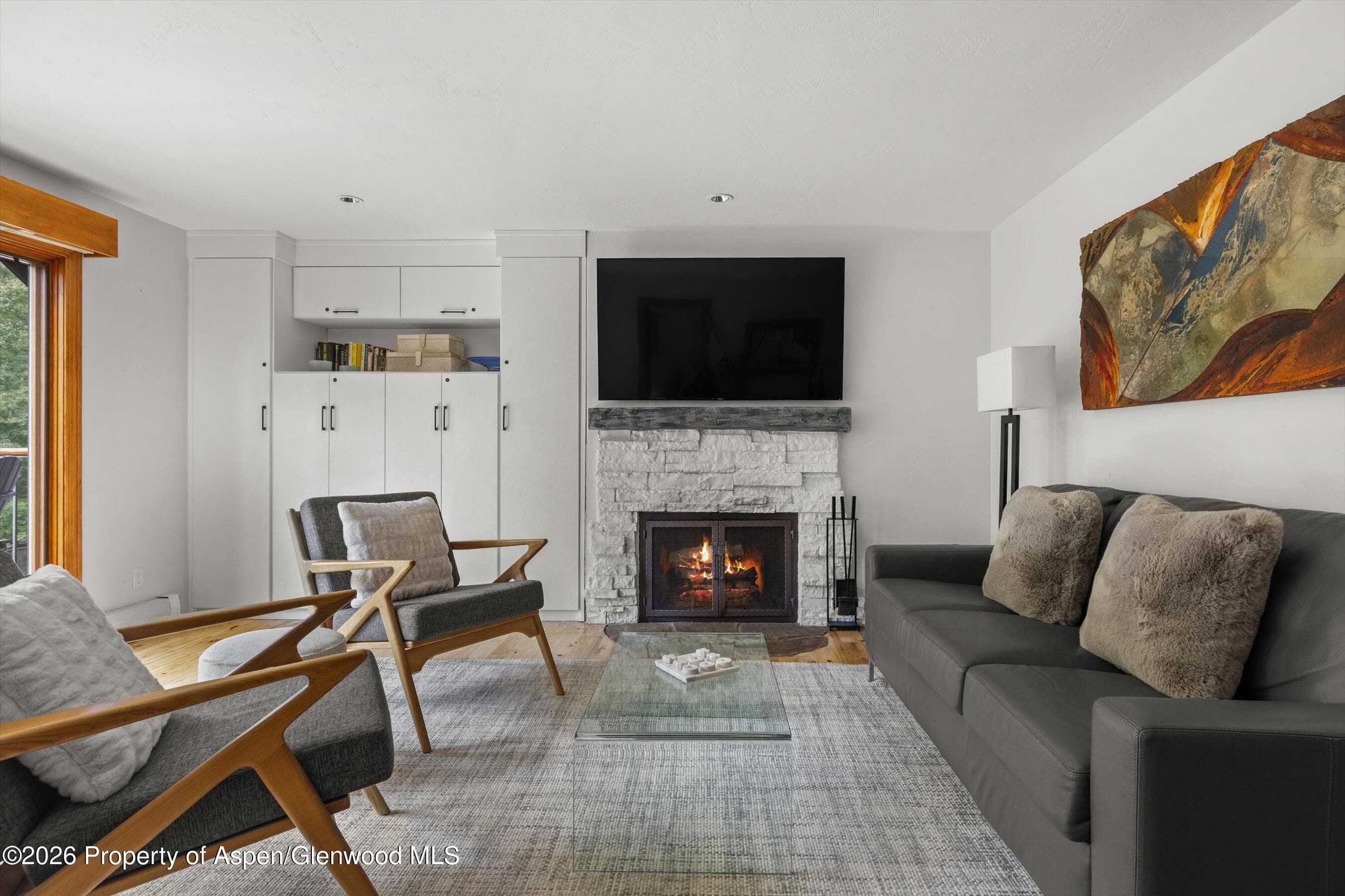 1020 E Durant Avenue 301, Aspen, CO 81611 - Photo 3