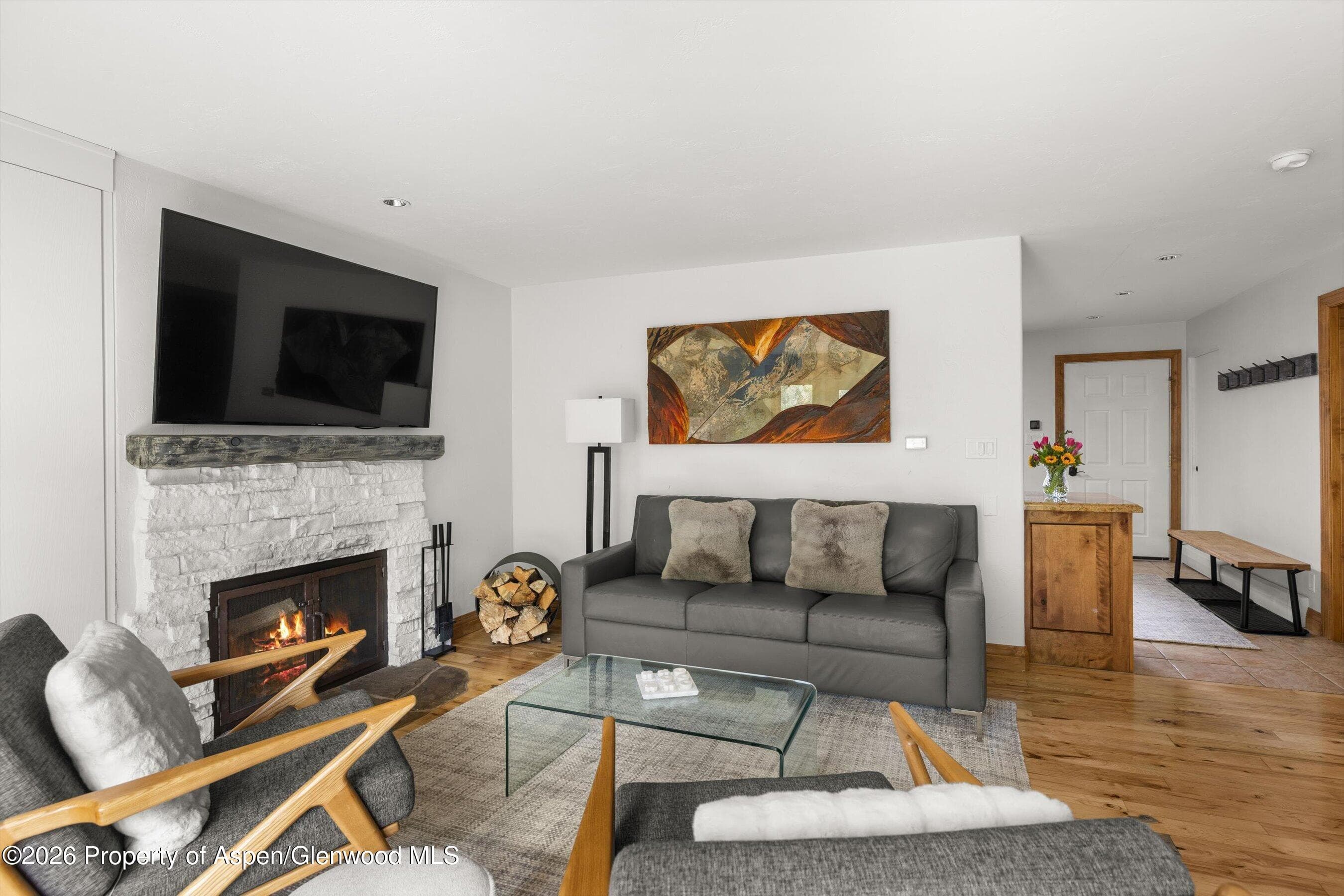 1020 E Durant Avenue 301, Aspen, CO 81611 - Photo 4