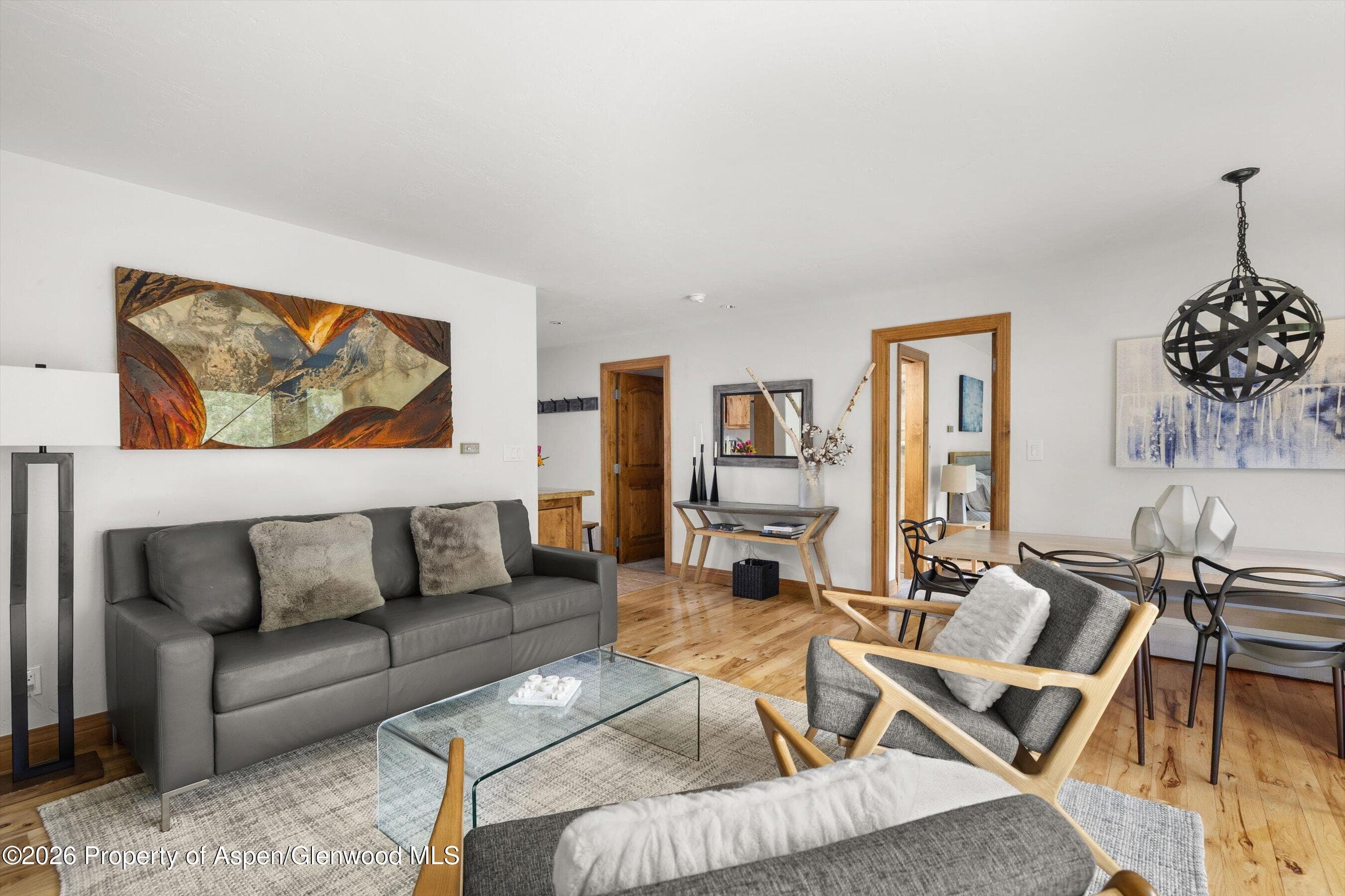 1020 E Durant Avenue 301, Aspen, CO 81611 - Photo 5