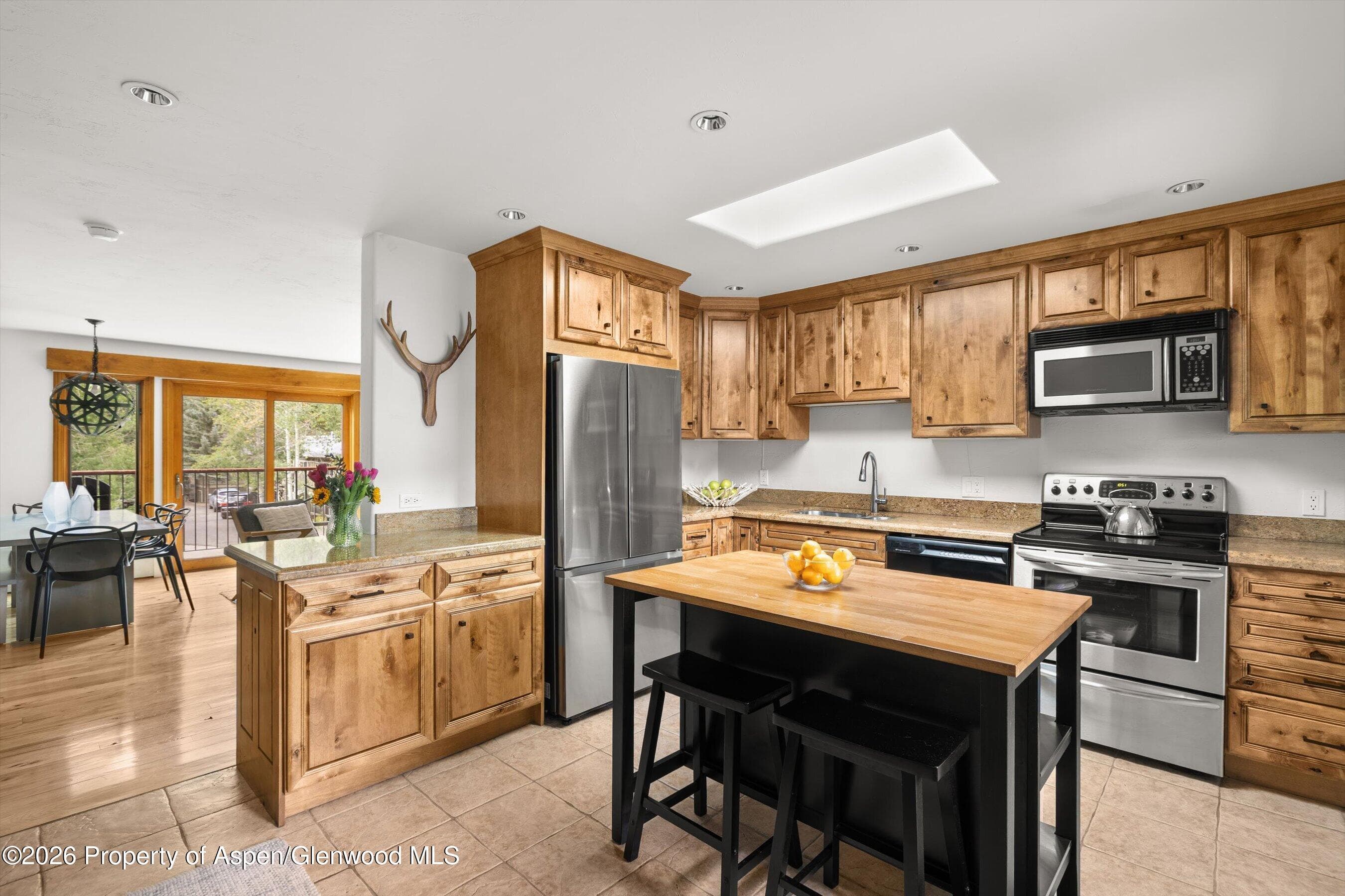 1020 E Durant Avenue 301, Aspen, CO 81611 - Photo 6