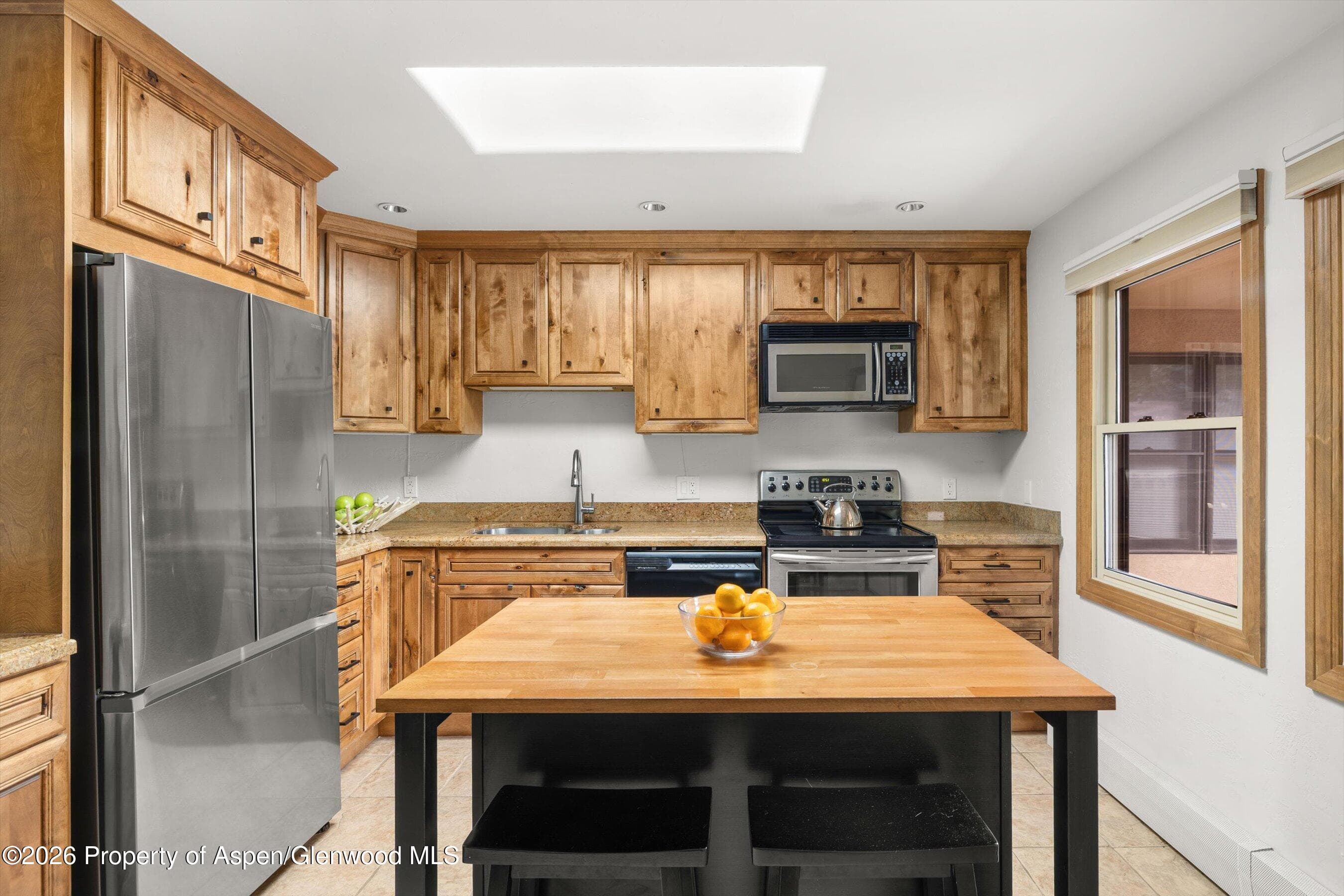 1020 E Durant Avenue 301, Aspen, CO 81611 - Photo 7