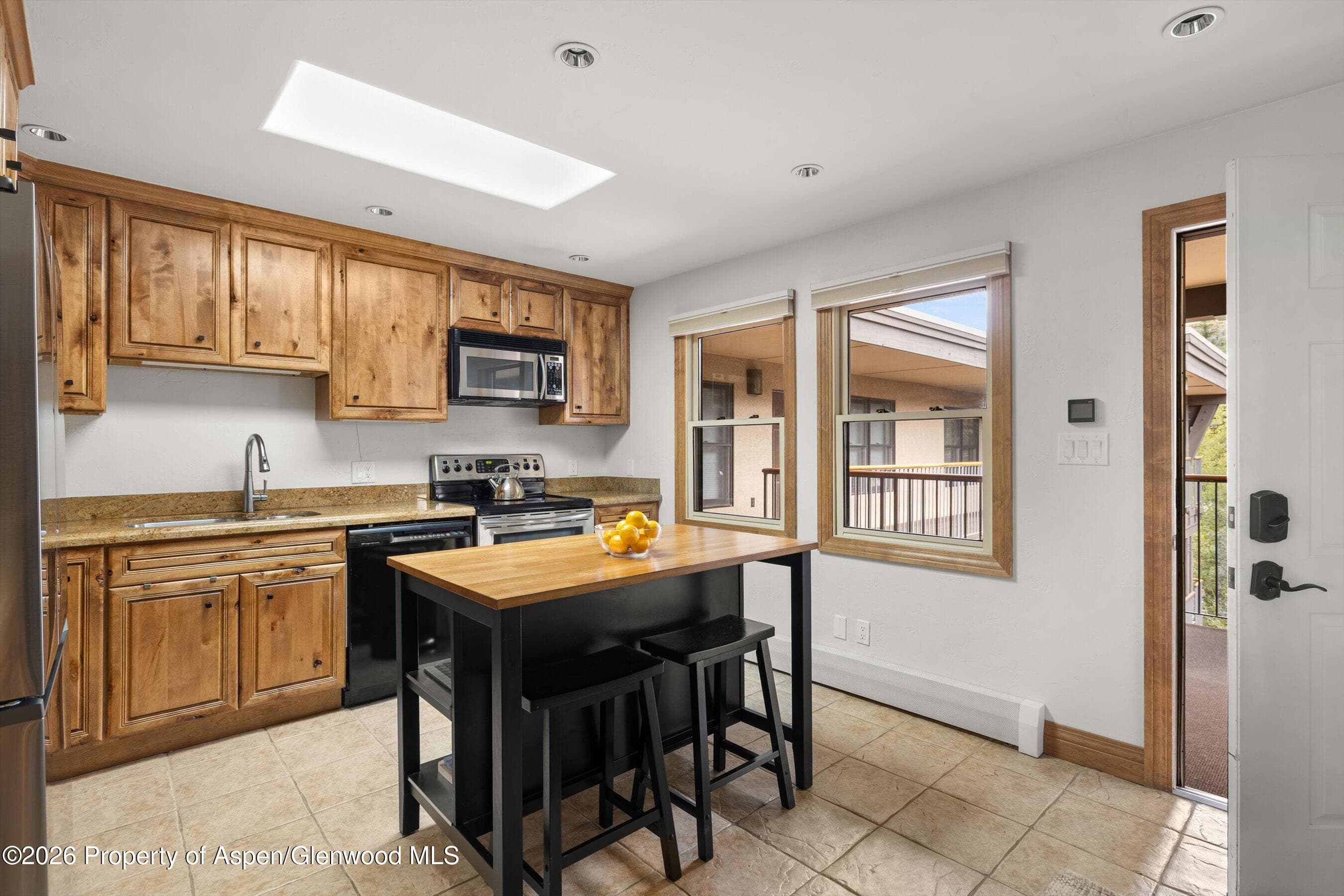 1020 E Durant Avenue 301, Aspen, CO 81611 - Photo 8