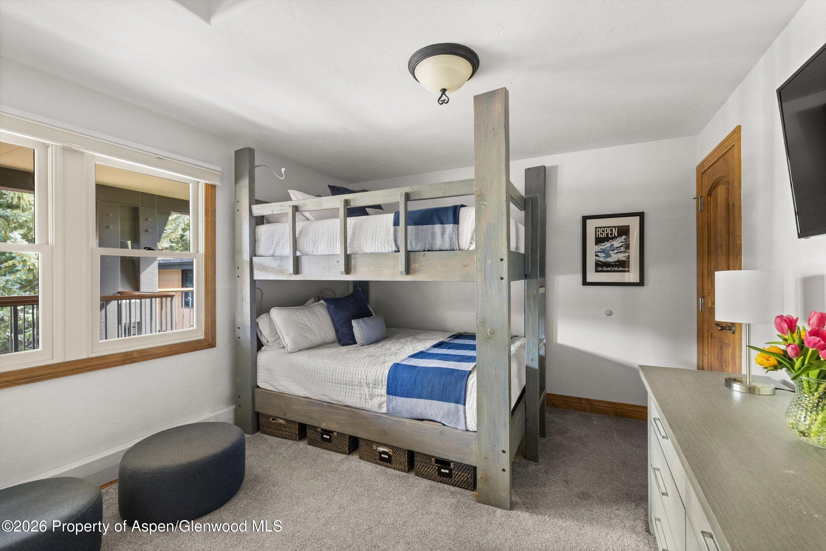 1020 E Durant Avenue 301, Aspen, CO 81611 - Photo 11