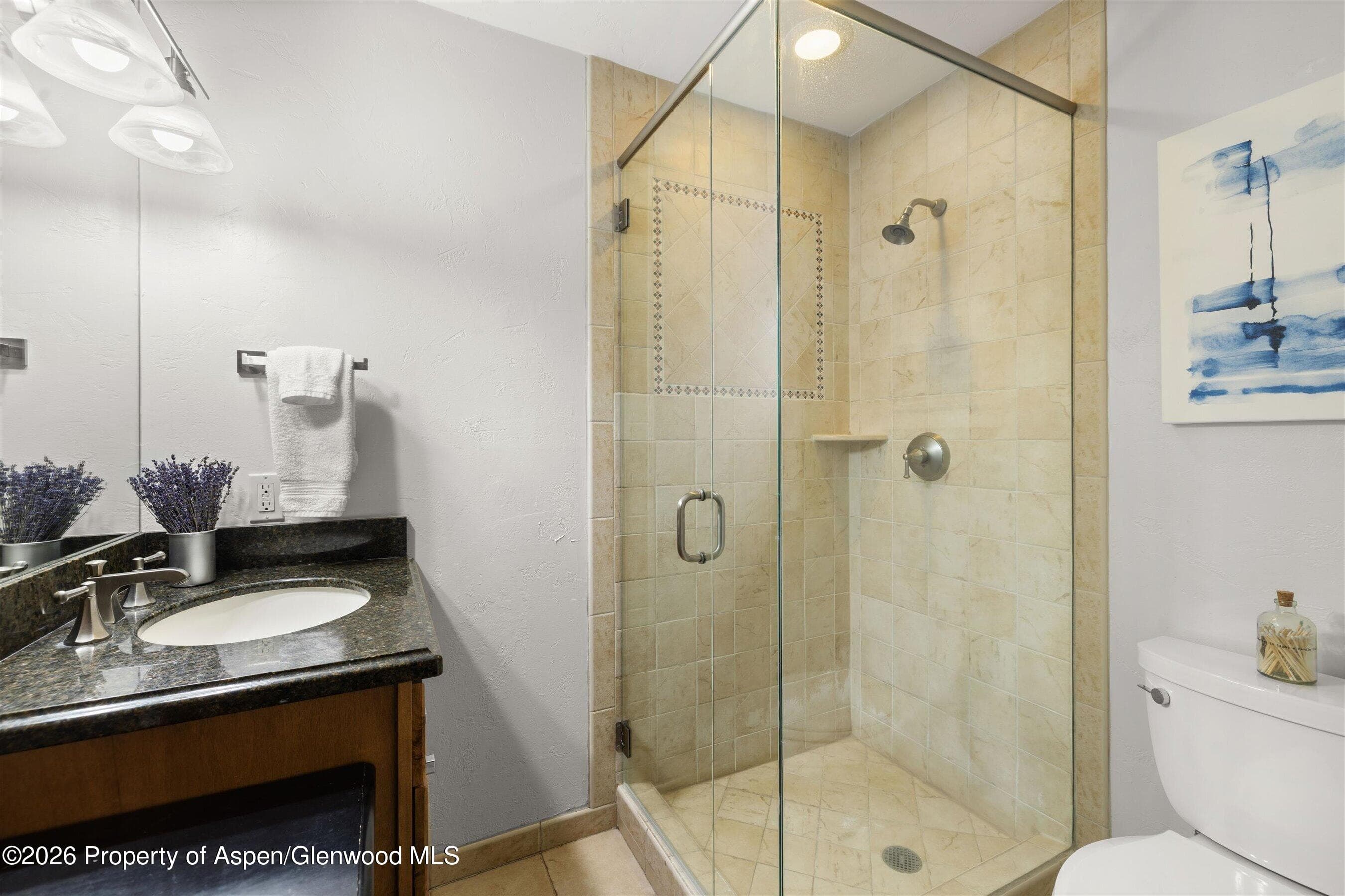 1020 E Durant Avenue 301, Aspen, CO 81611 - Photo 12