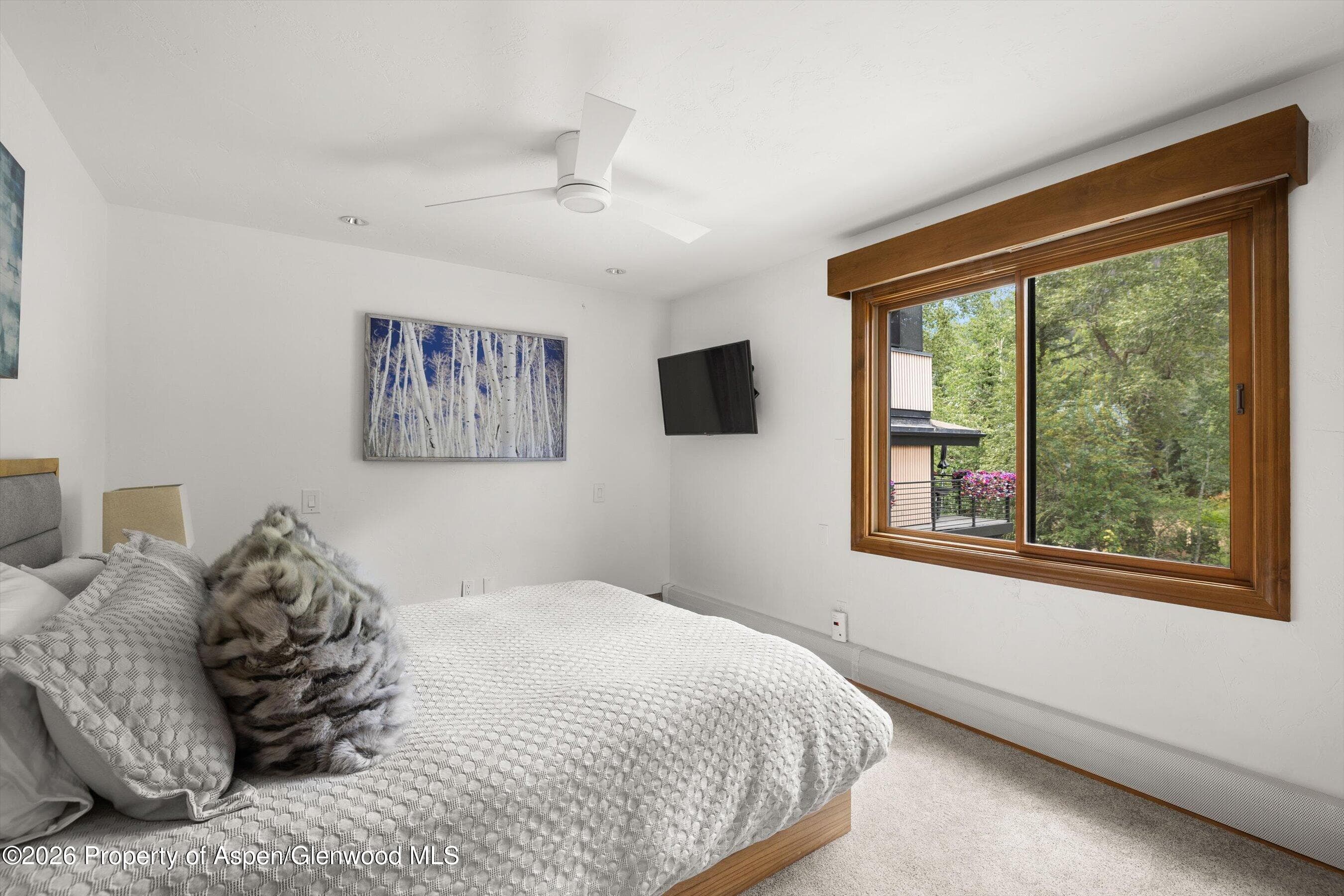 1020 E Durant Avenue 301, Aspen, CO 81611 - Photo 9