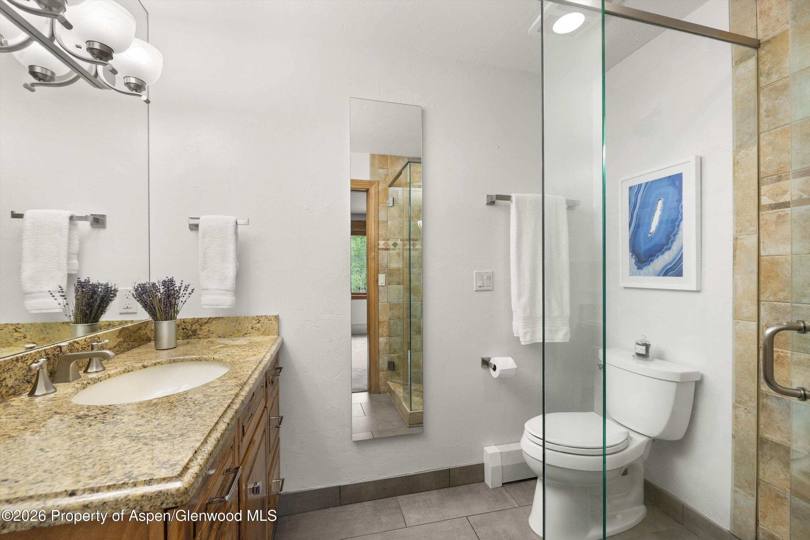 1020 E Durant Avenue 301, Aspen, CO 81611 - Photo 10