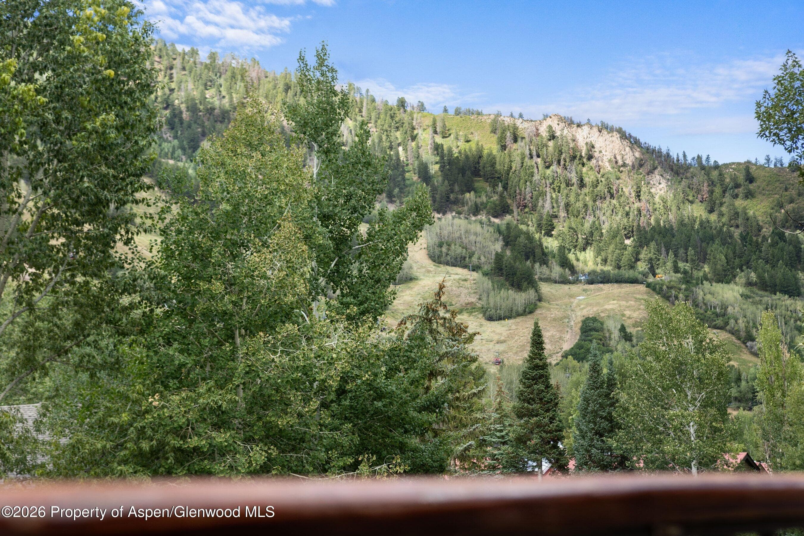 1020 E Durant Avenue 301, Aspen, CO 81611 - Photo 13