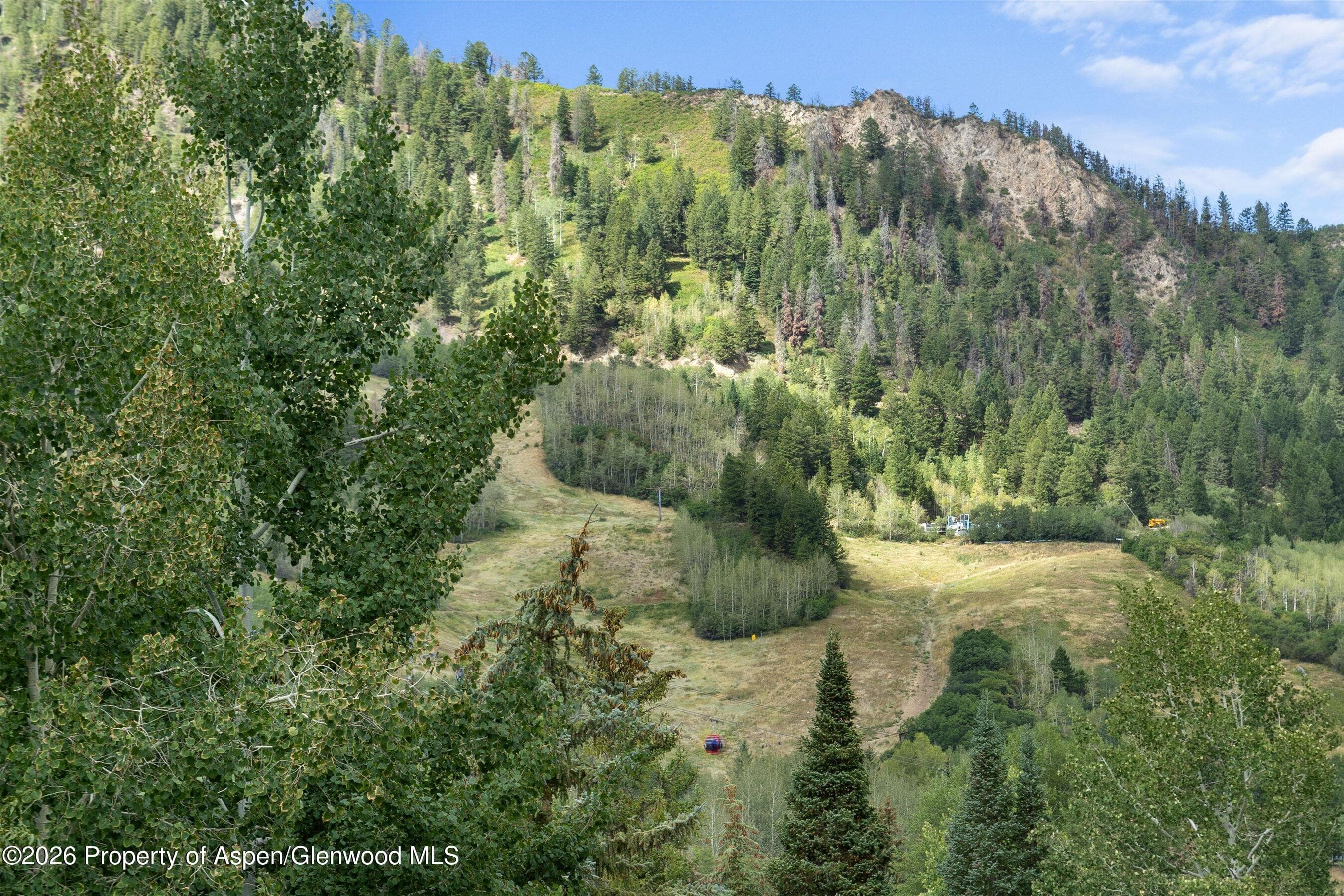 1020 E Durant Avenue 301, Aspen, CO 81611 - Photo 14