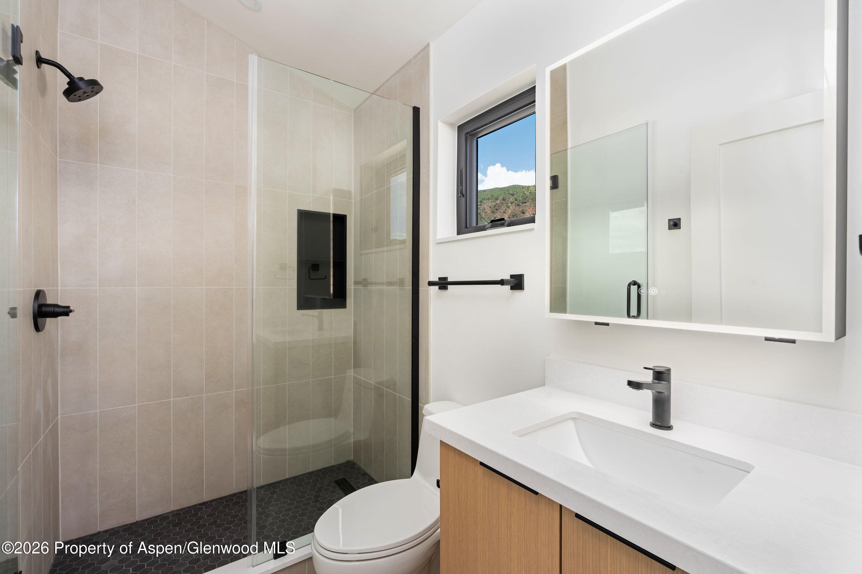 428 Amesbury Drive, Basalt, CO 81621 - Photo 19