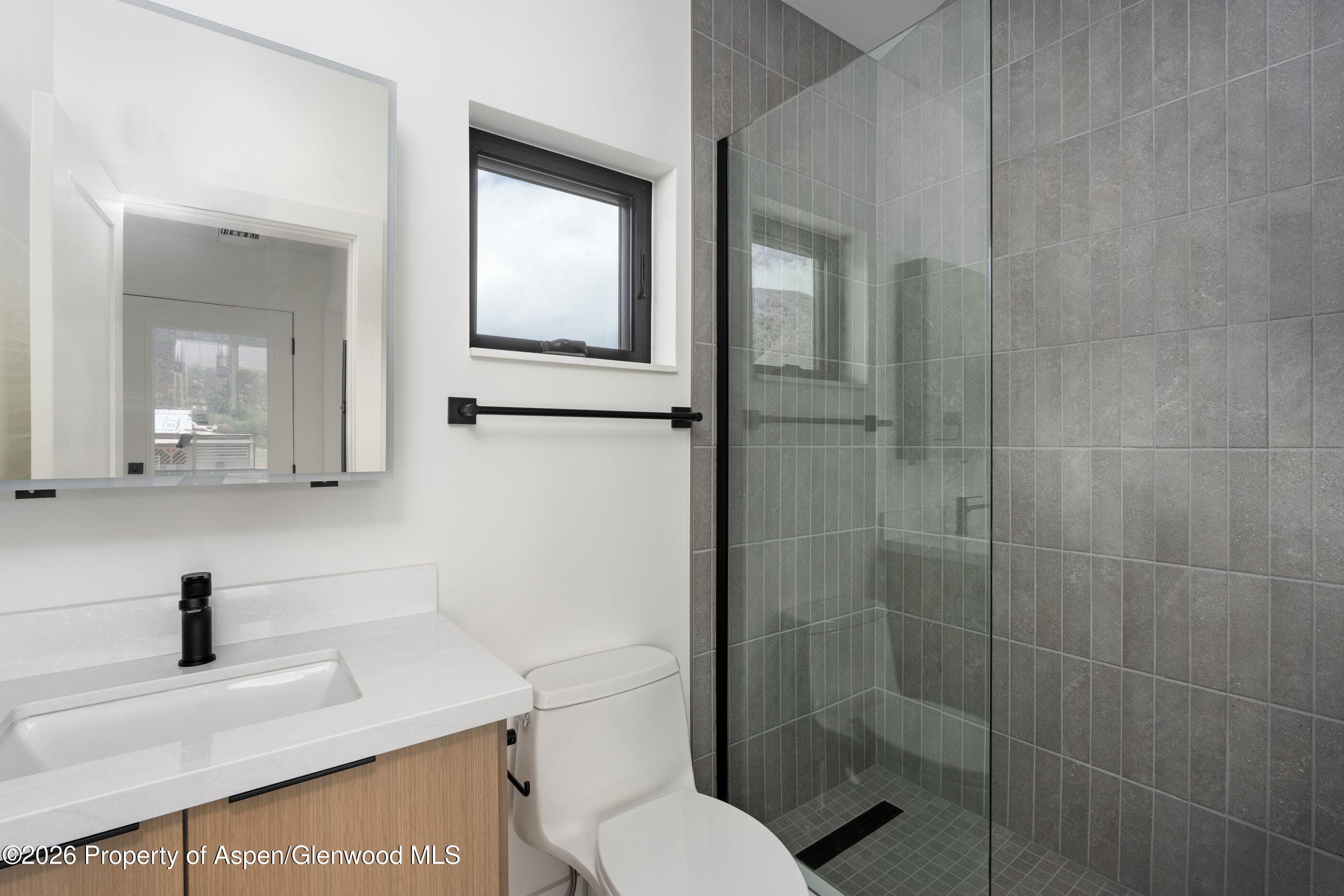 428 Amesbury Drive, Basalt, CO 81621 - Photo 24