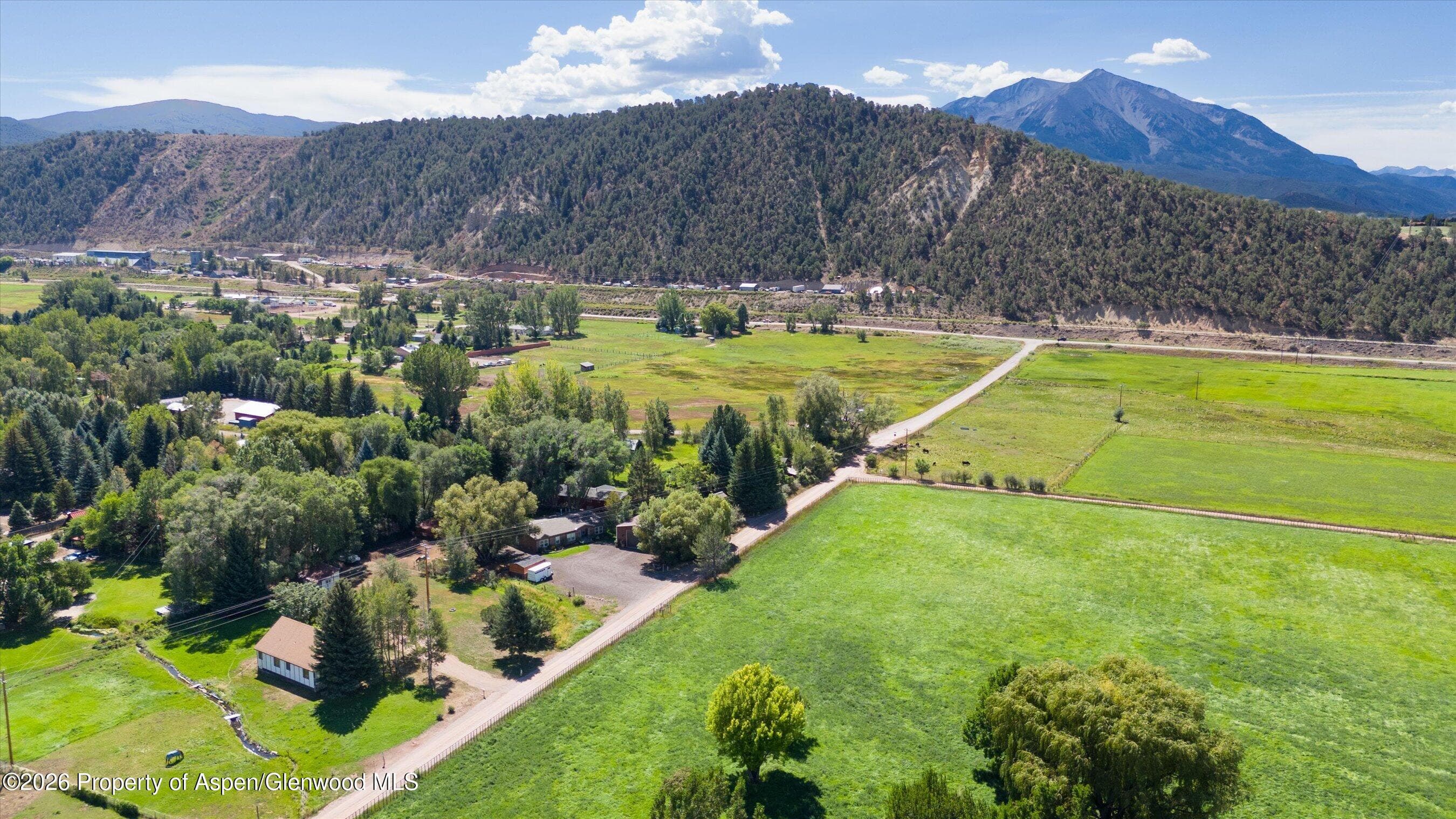 298 Rose Lane, Carbondale, CO 81623 - Photo 3