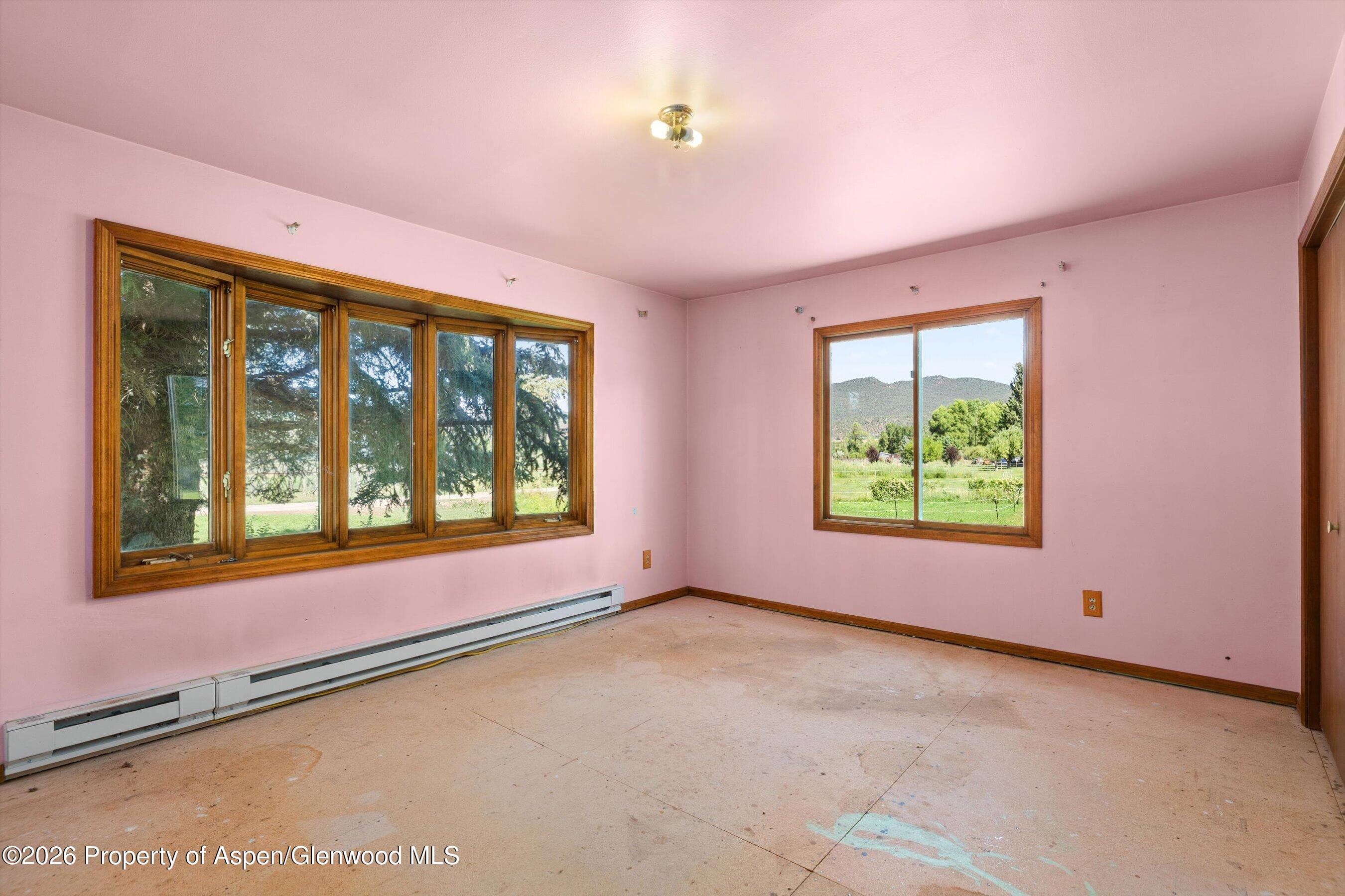 298 Rose Lane, Carbondale, CO 81623 - Photo 13