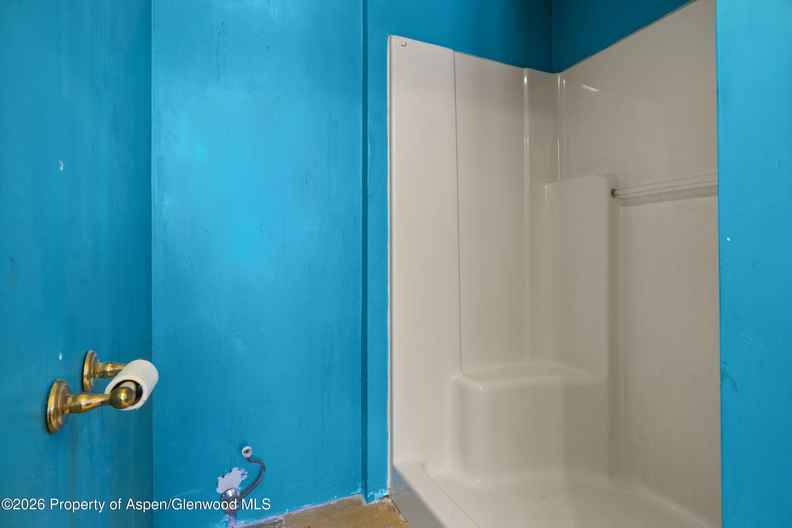 298 Rose Lane, Carbondale, CO 81623 - Photo 17