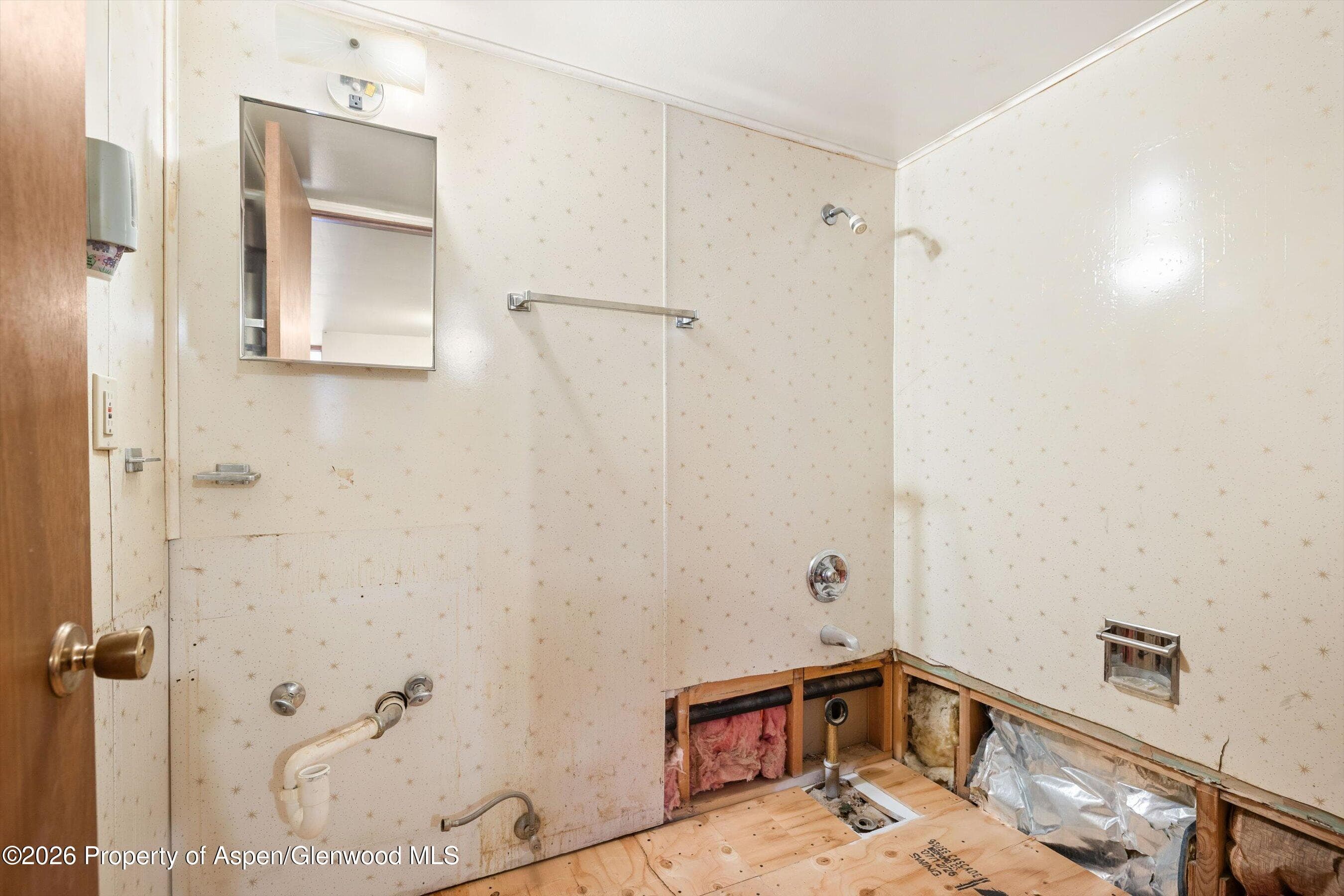 298 Rose Lane, Carbondale, CO 81623 - Photo 20