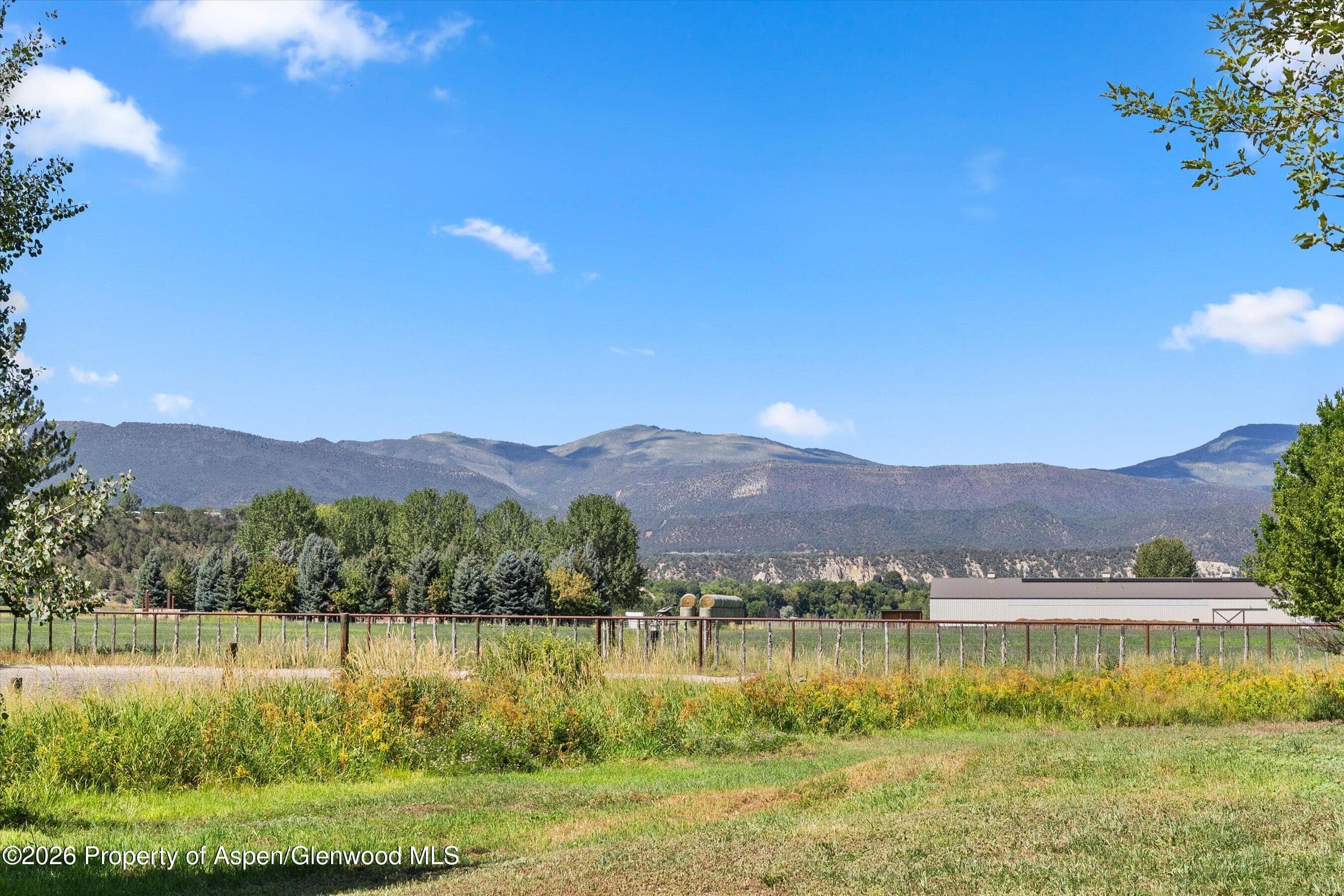 298 Rose Lane, Carbondale, CO 81623 - Photo 6