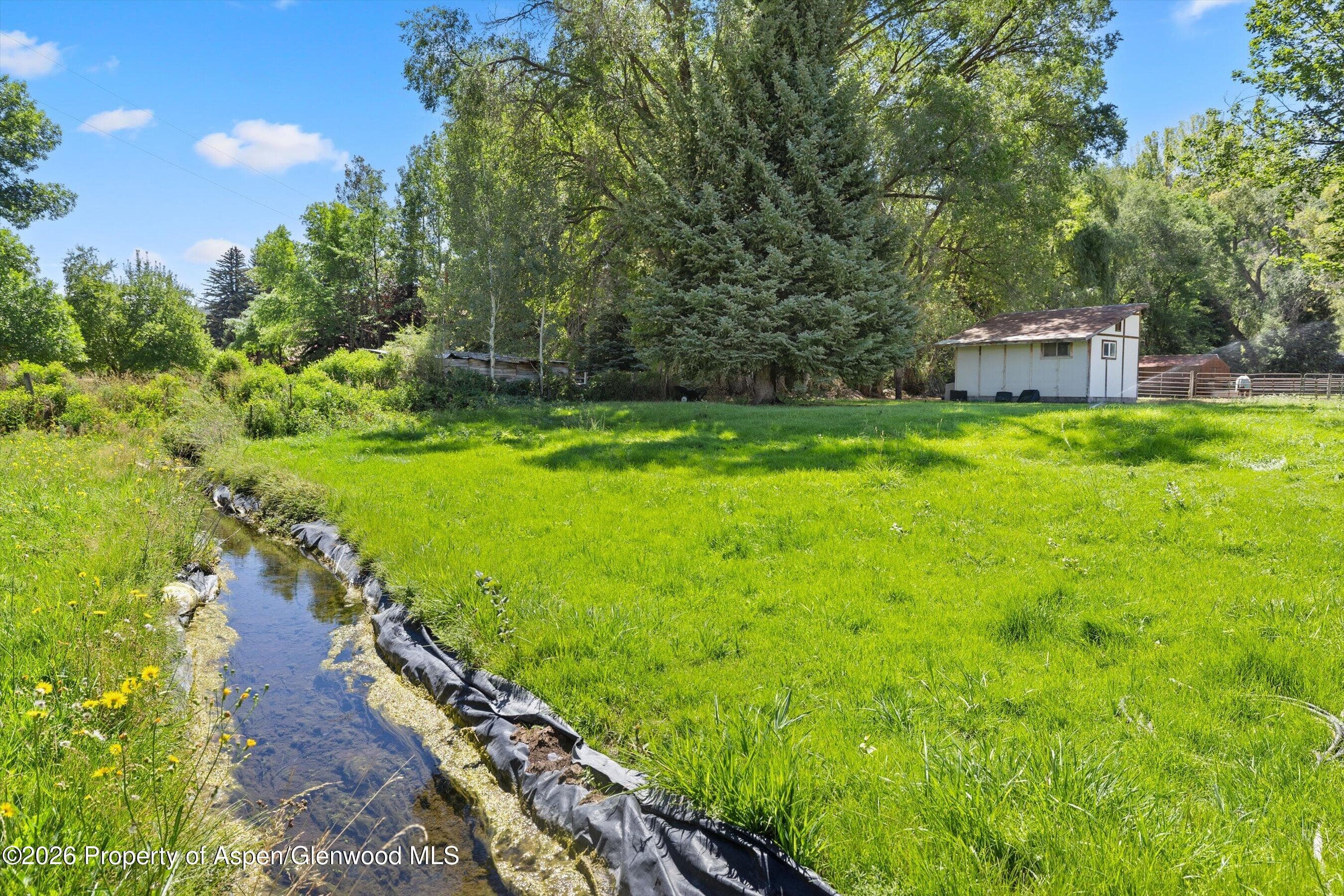 298 Rose Lane, Carbondale, CO 81623 - Photo 8