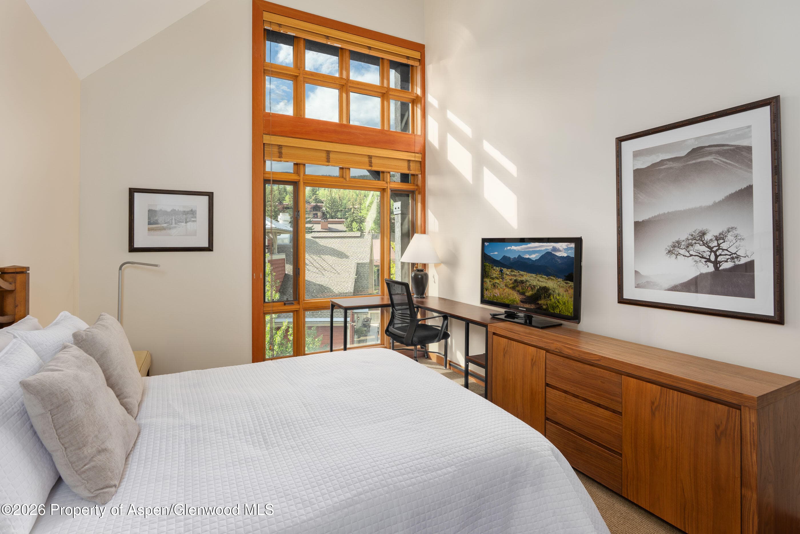 110 Carriage Way 3406, Snowmass Village, CO 81615 - Photo 9