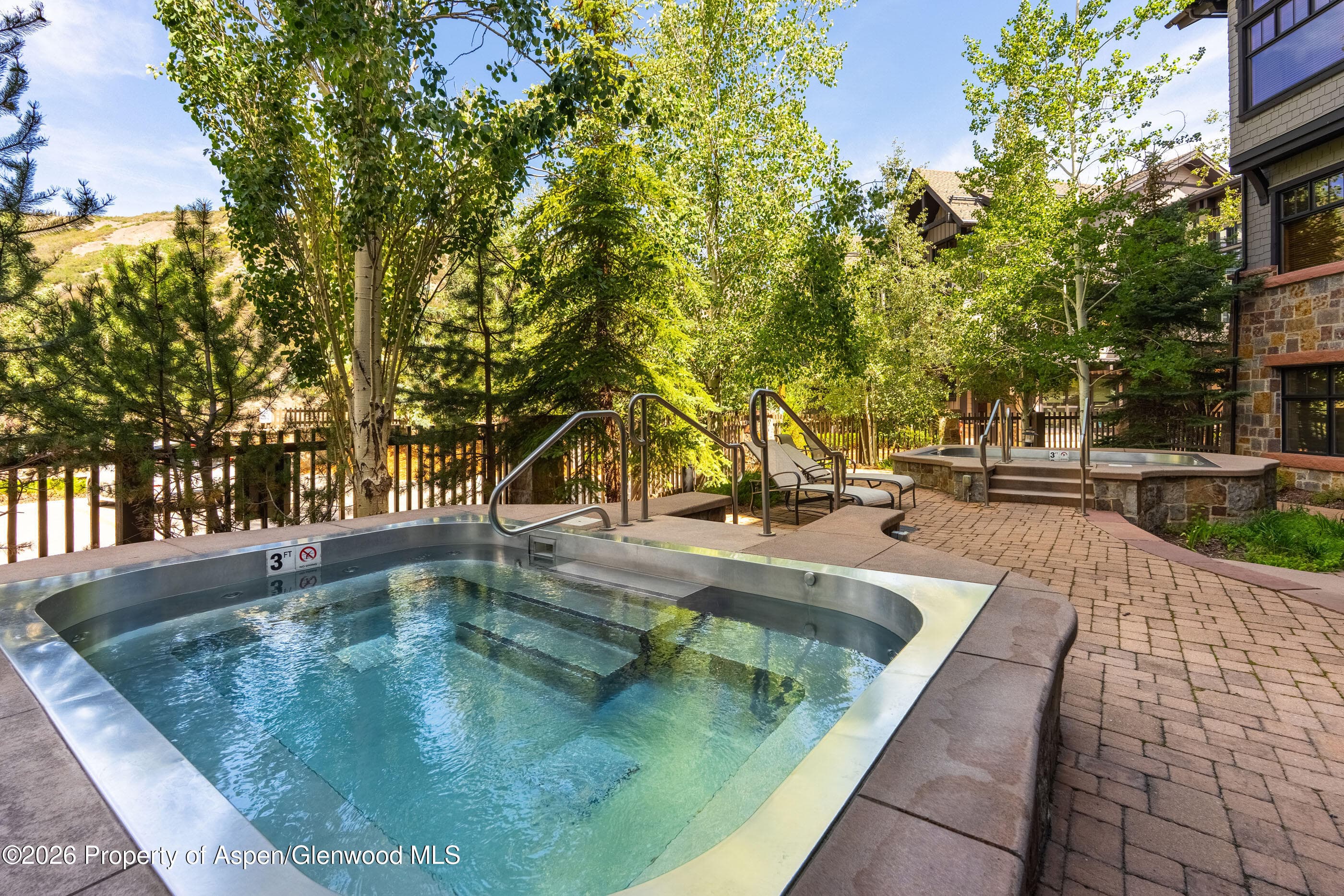 110 Carriage Way 3406, Snowmass Village, CO 81615 - Photo 21