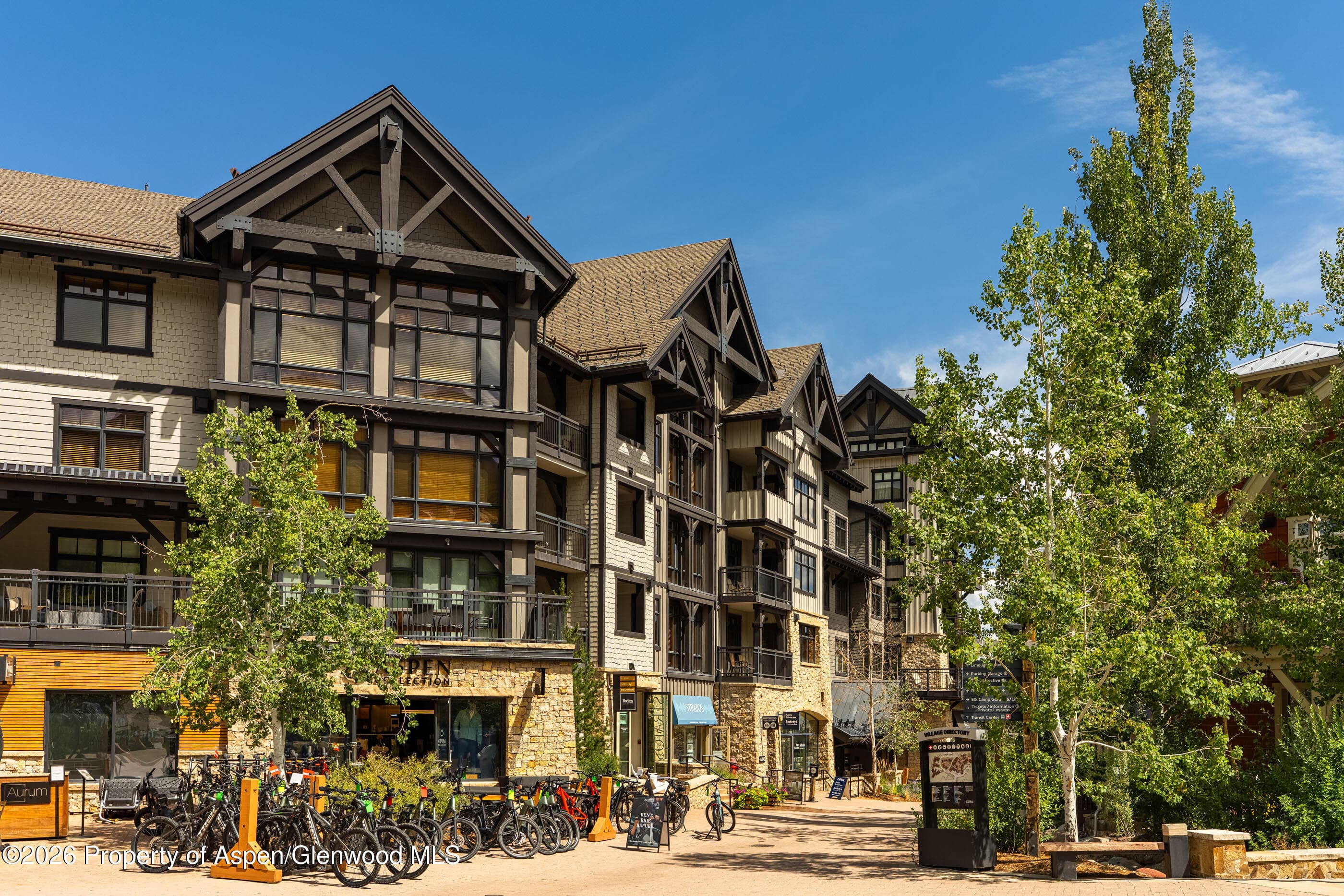 110 Carriage Way 3406, Snowmass Village, CO 81615 - Photo 19