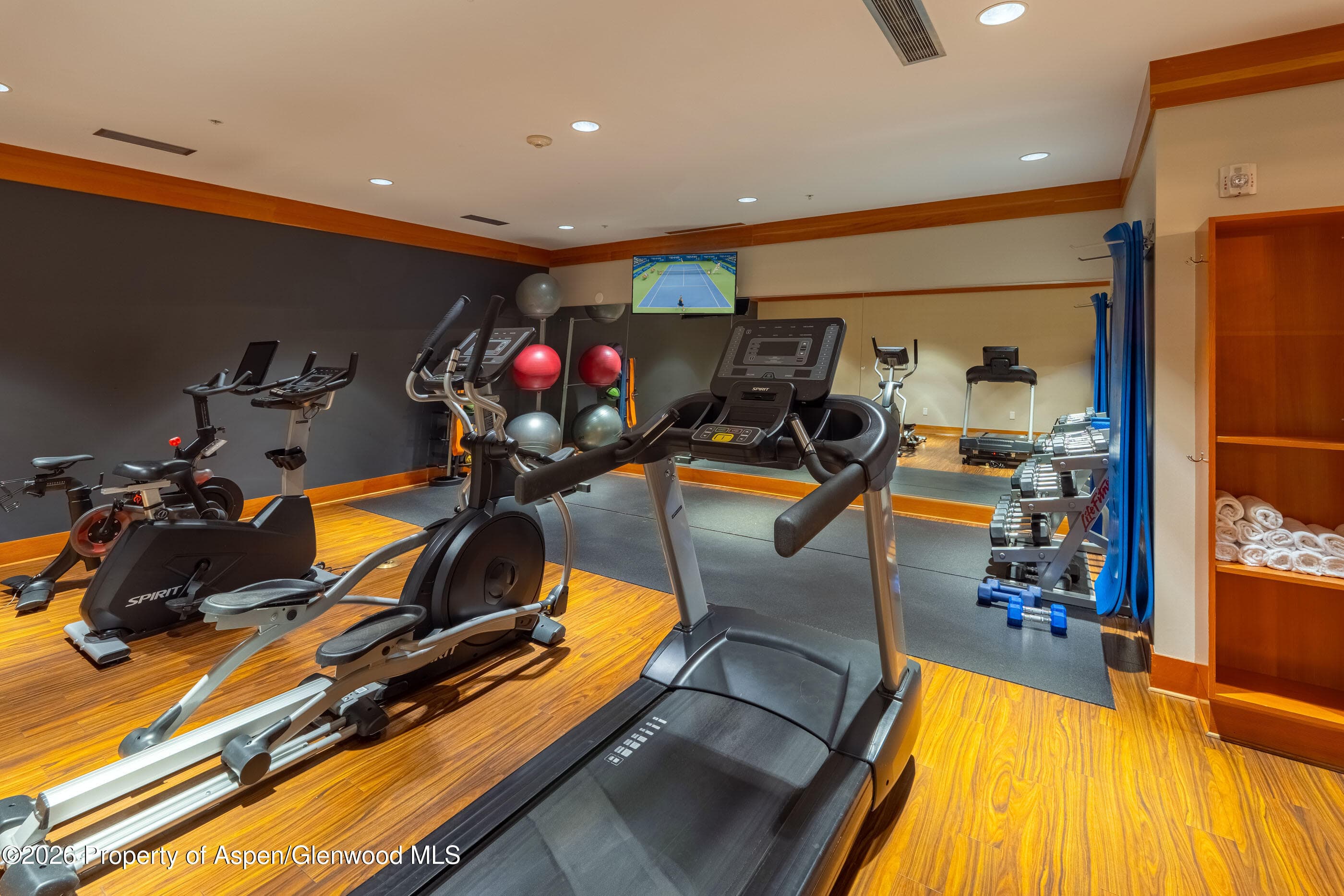 110 Carriage Way 3406, Snowmass Village, CO 81615 - Photo 20
