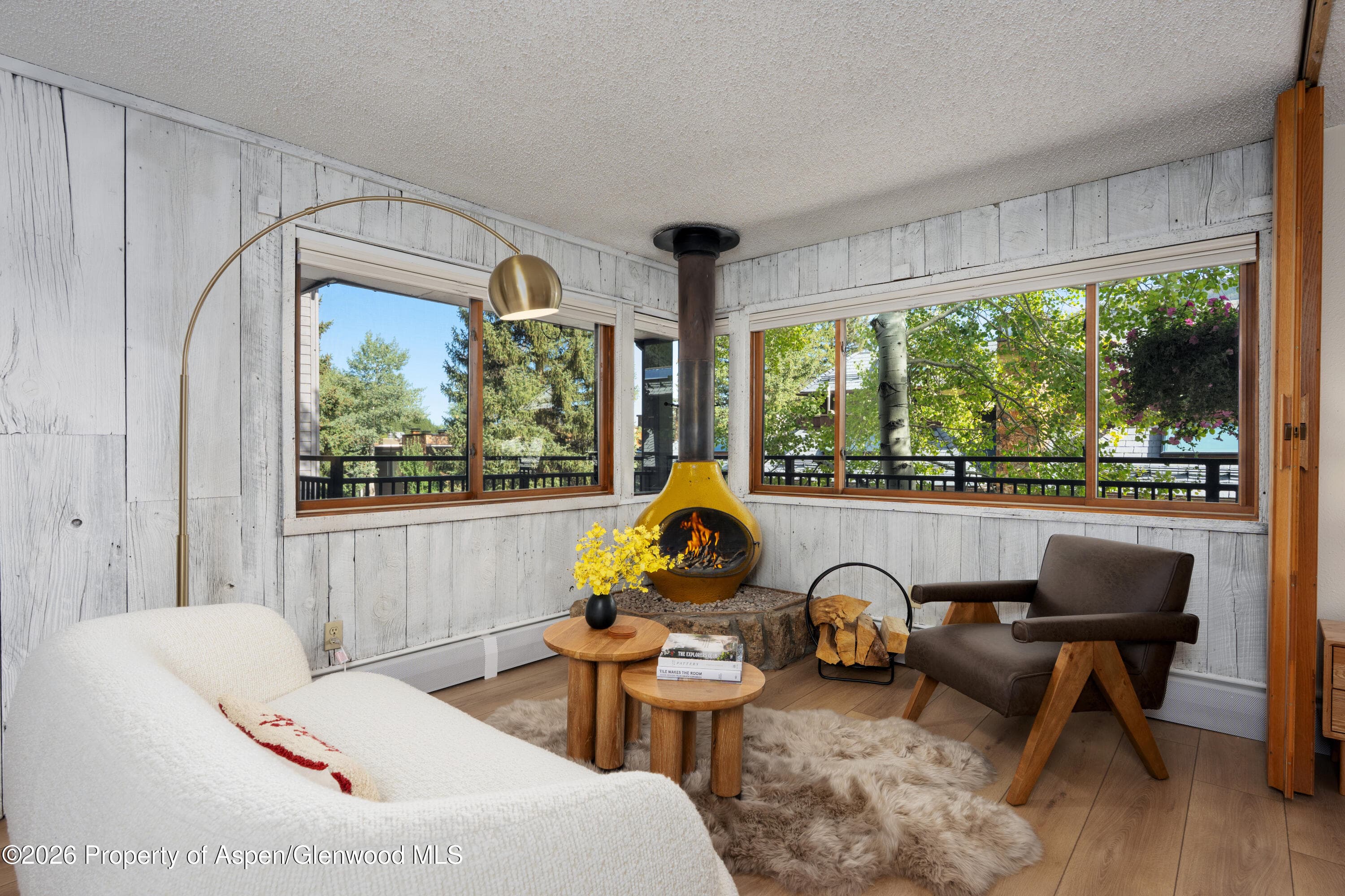 700 S Monarch Street 207, Aspen, CO 81611