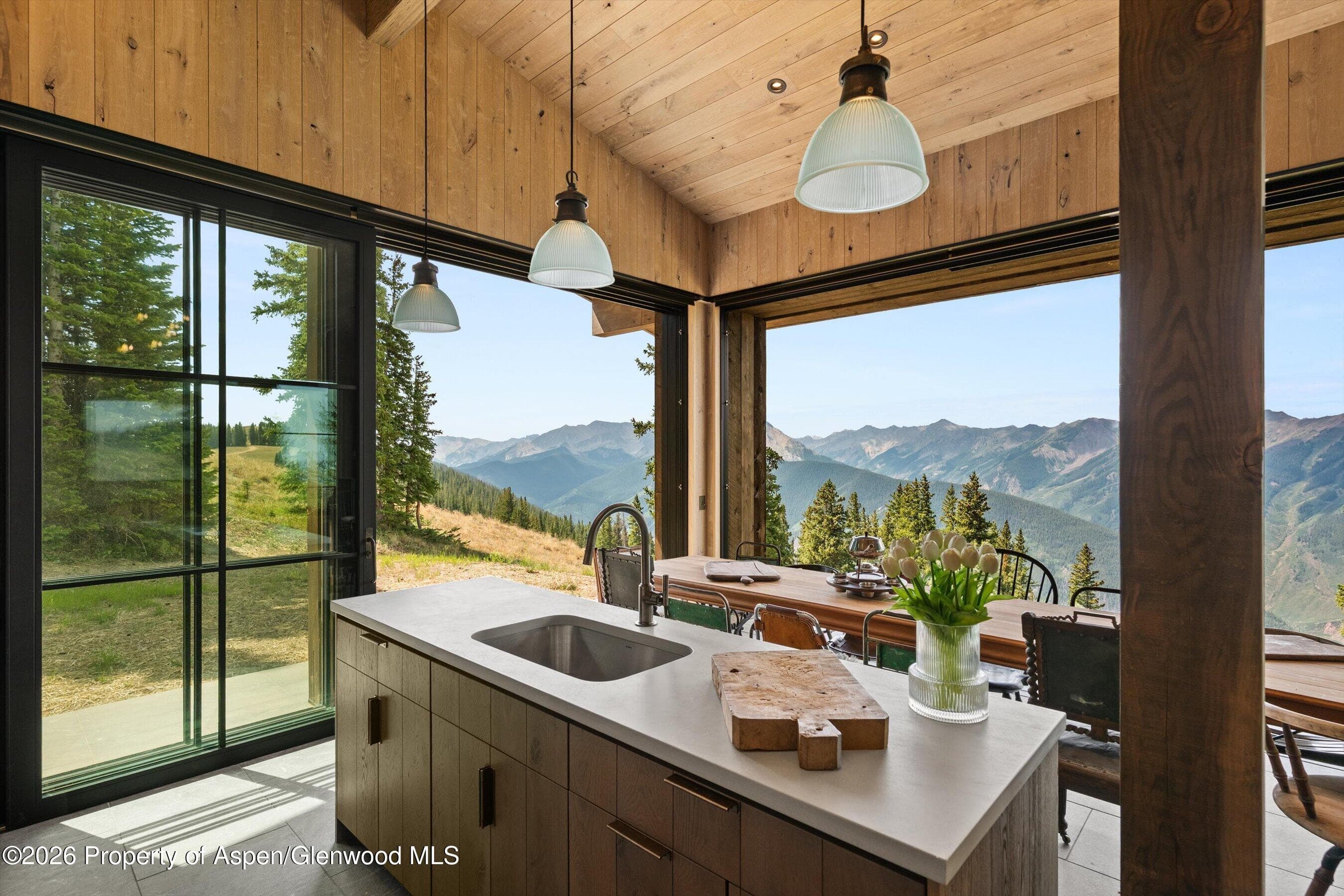 1221 Richmond Hill Road, Aspen, CO 81611 - Photo 10