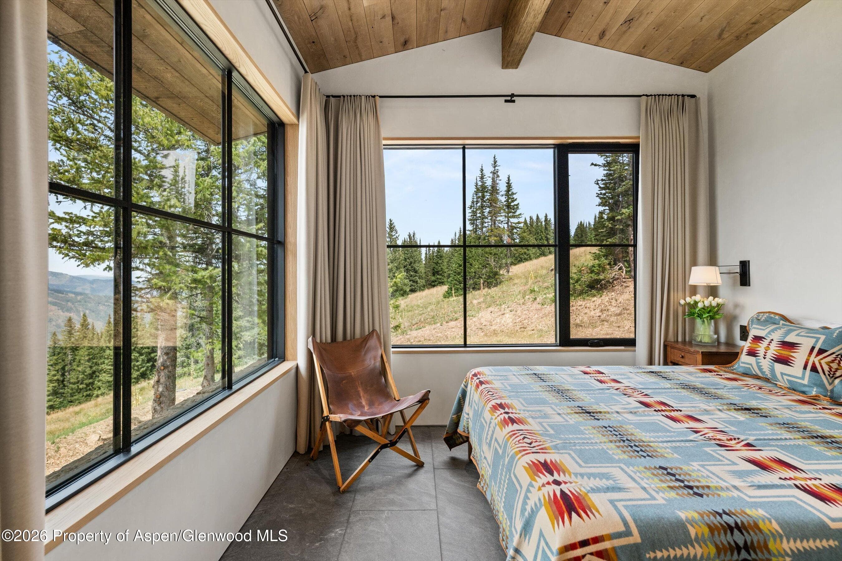 1221 Richmond Hill Road, Aspen, CO 81611 - Photo 18