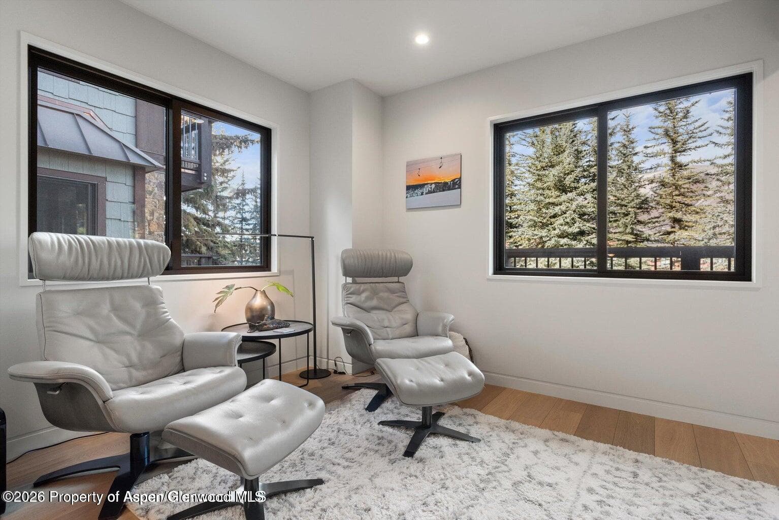 650 S Monarch Street 7, Aspen, CO 81611 - Photo 3