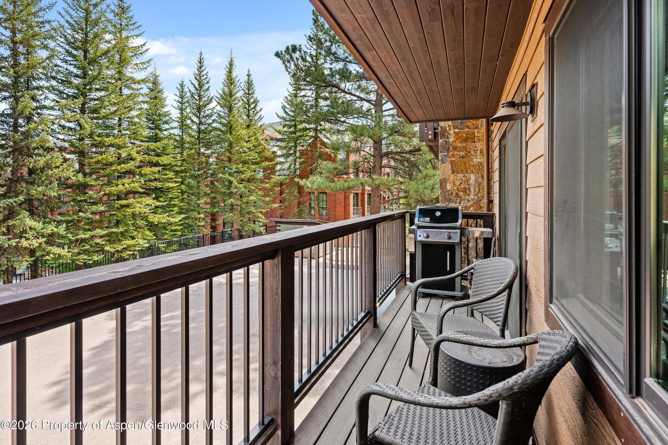 650 S Monarch Street 7, Aspen, CO 81611 - Photo 7