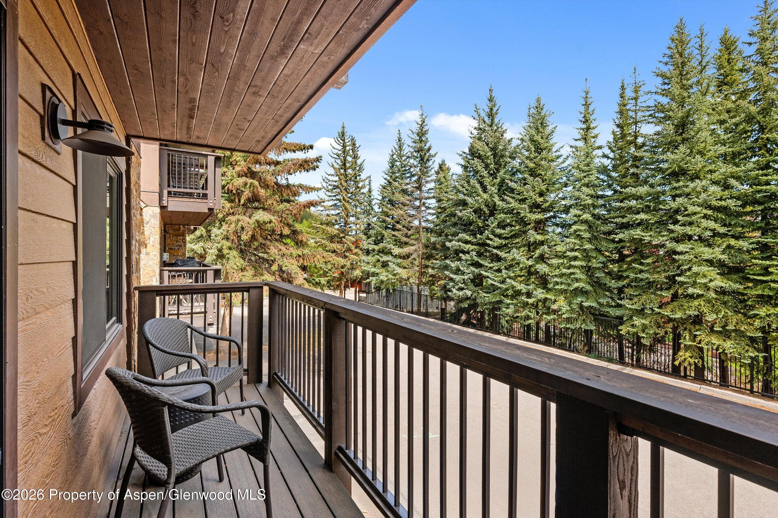 650 S Monarch Street 7, Aspen, CO 81611 - Photo 8