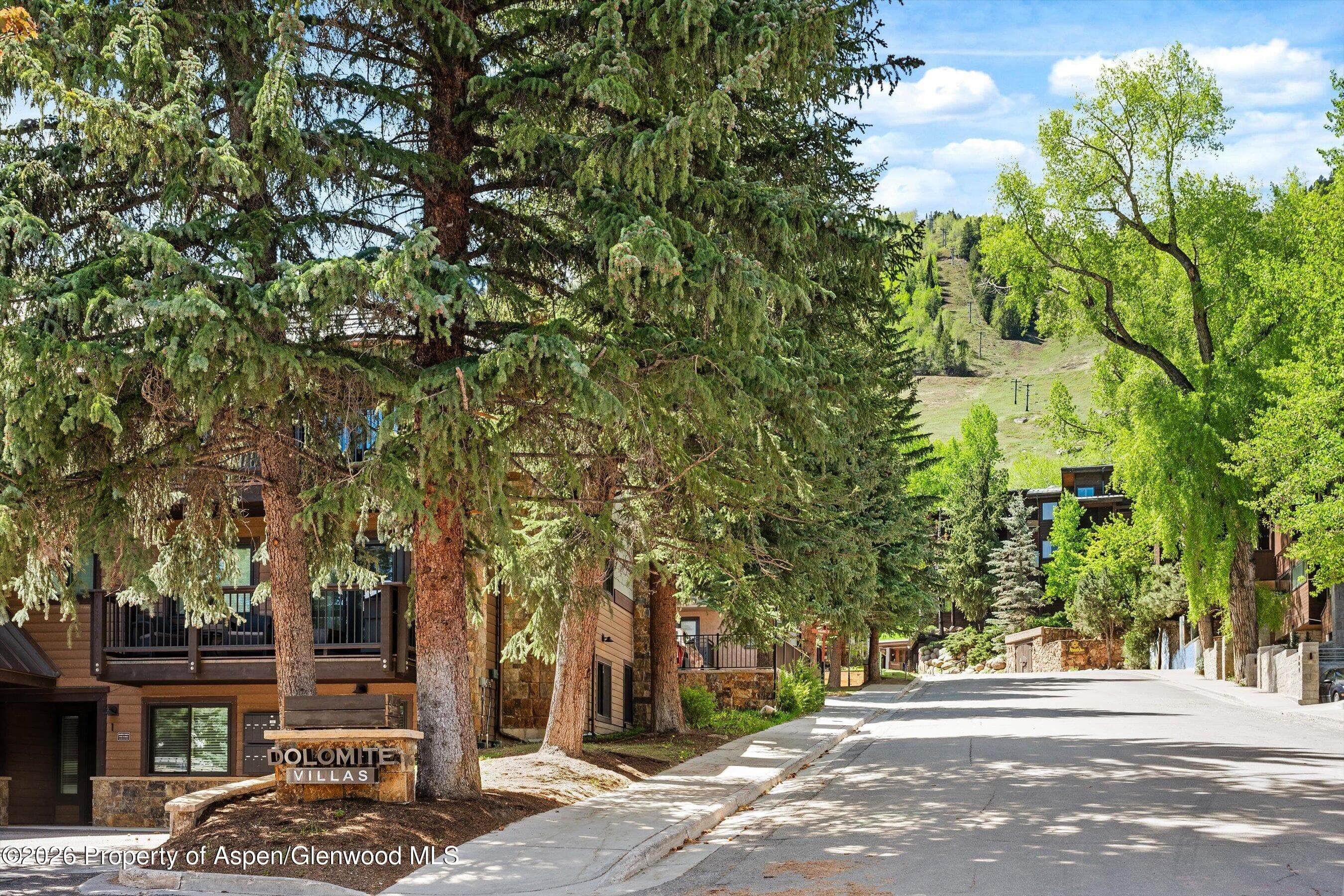 650 S Monarch Street 7, Aspen, CO 81611 - Photo 23