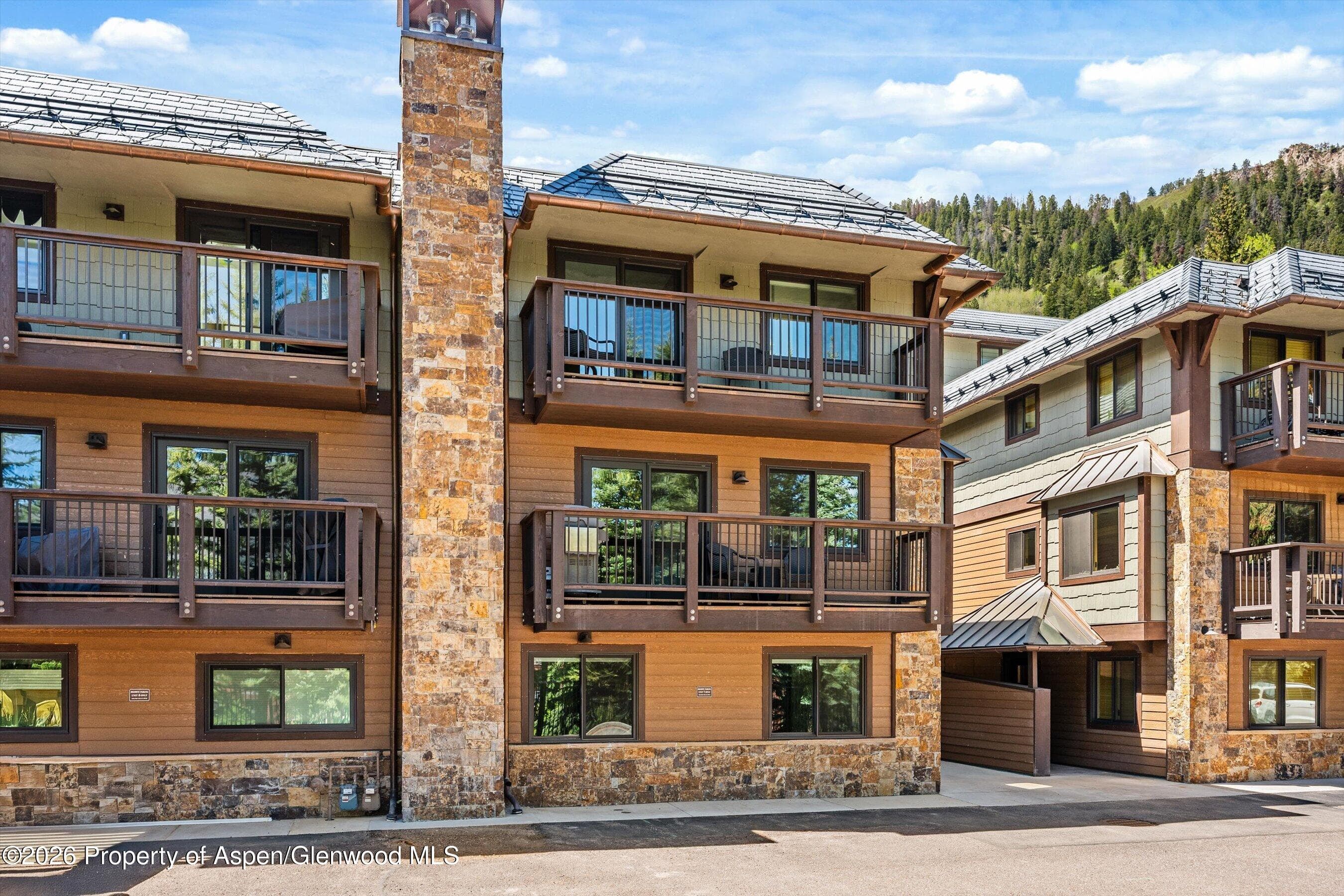 650 S Monarch Street 7, Aspen, CO 81611 - Photo 25