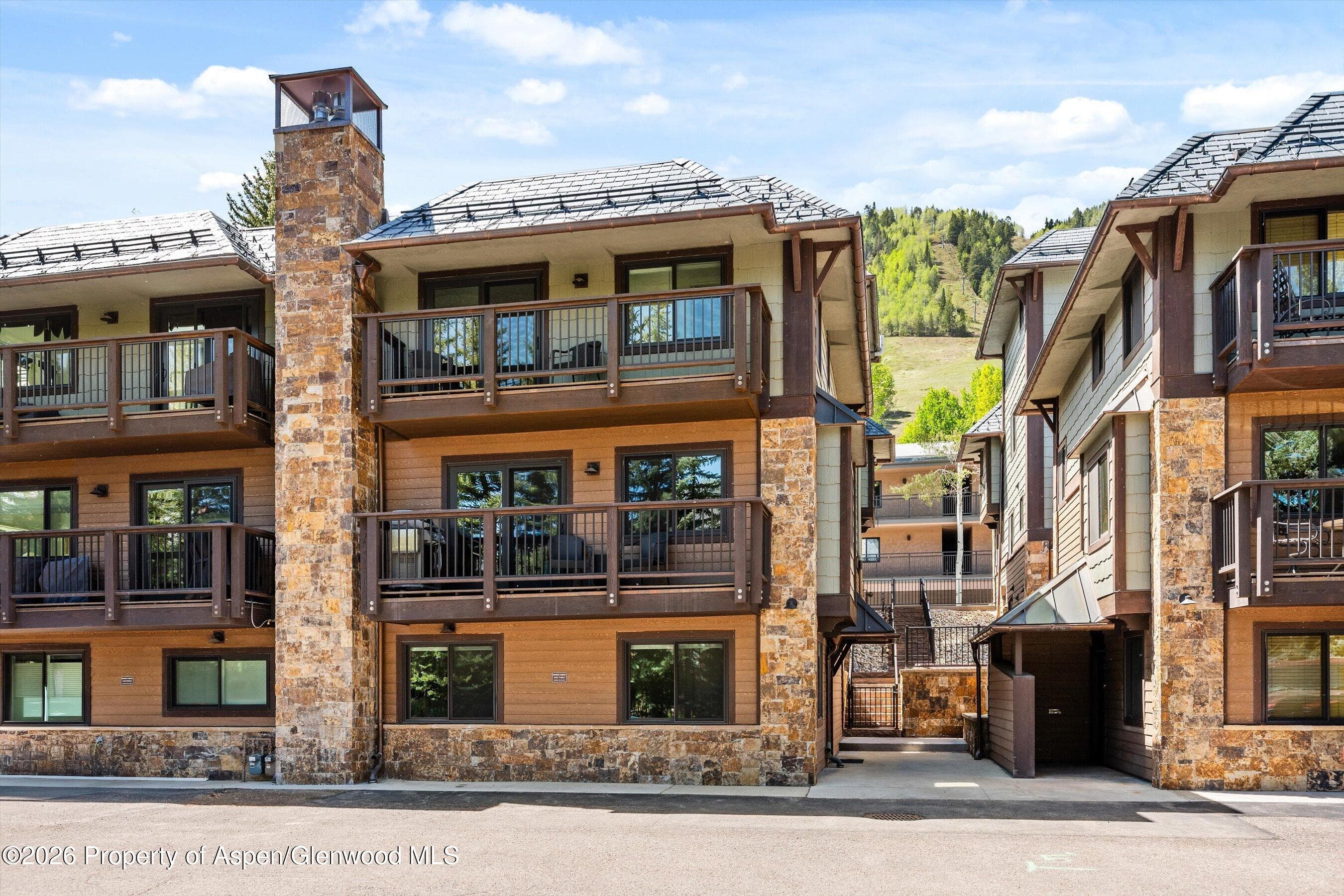 650 S Monarch Street 7, Aspen, CO 81611 - Photo 26